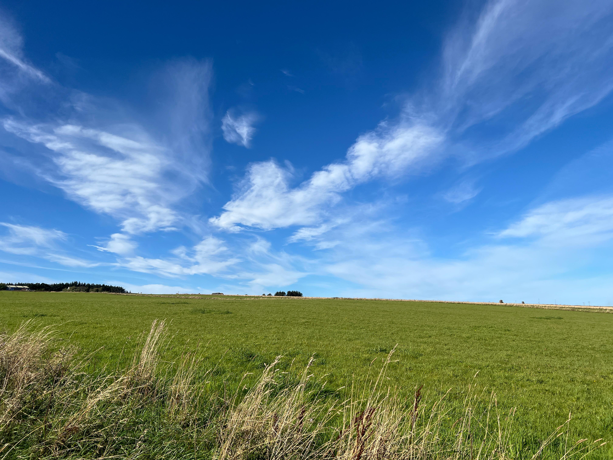 Aberdeen & Northern Estates