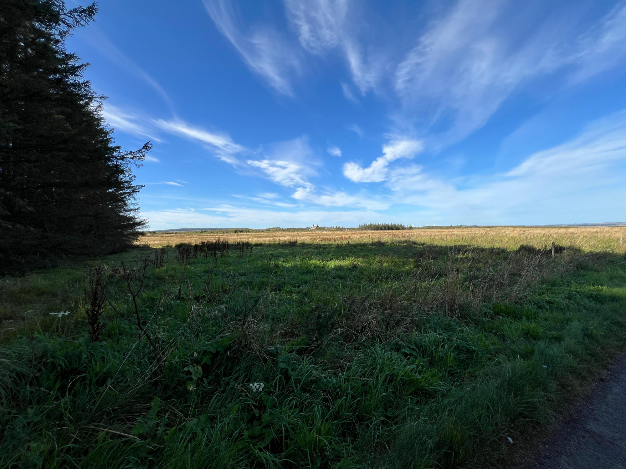 Aberdeen & Northern Estates