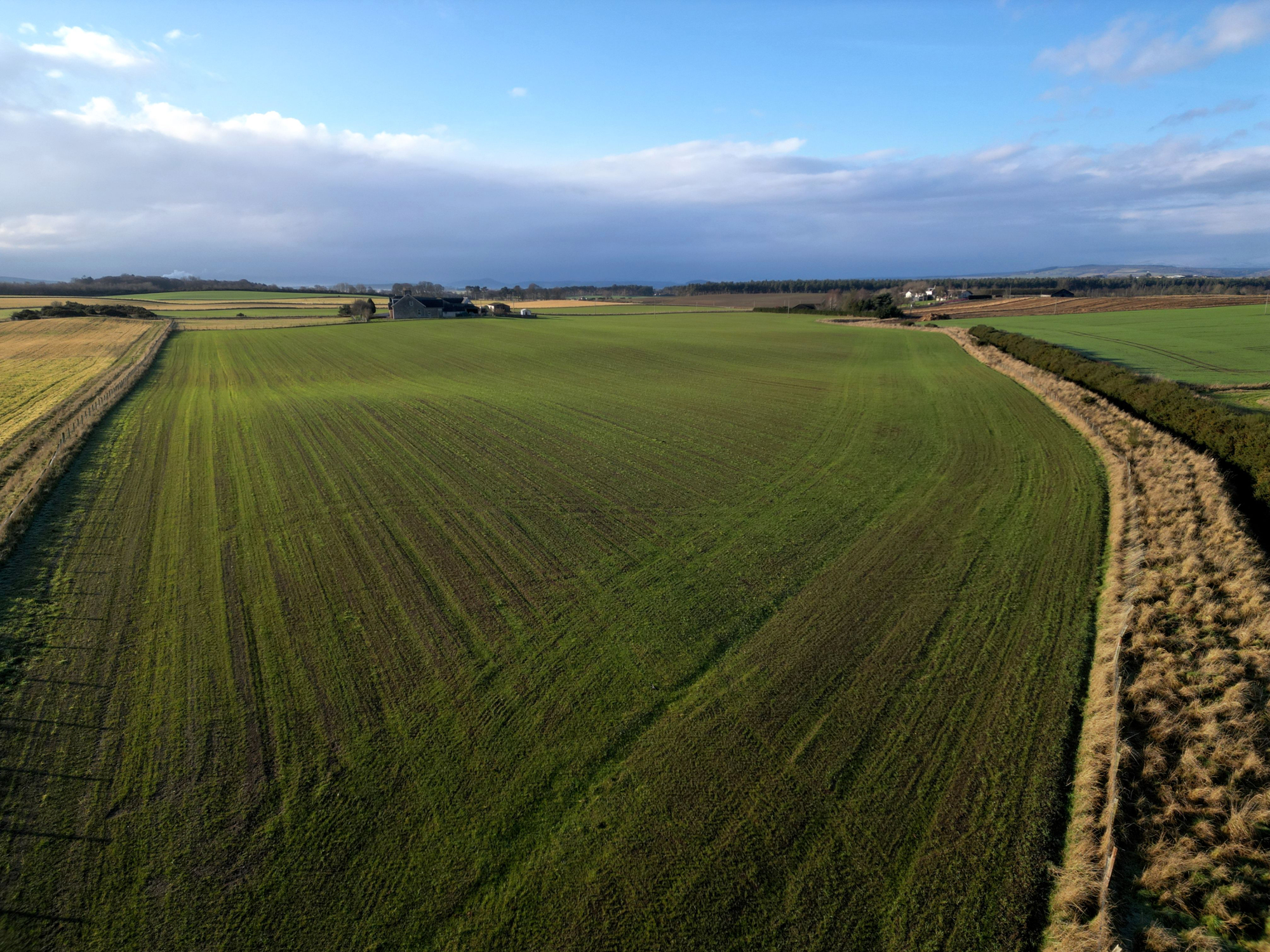 Aberdeen & Northern Estates