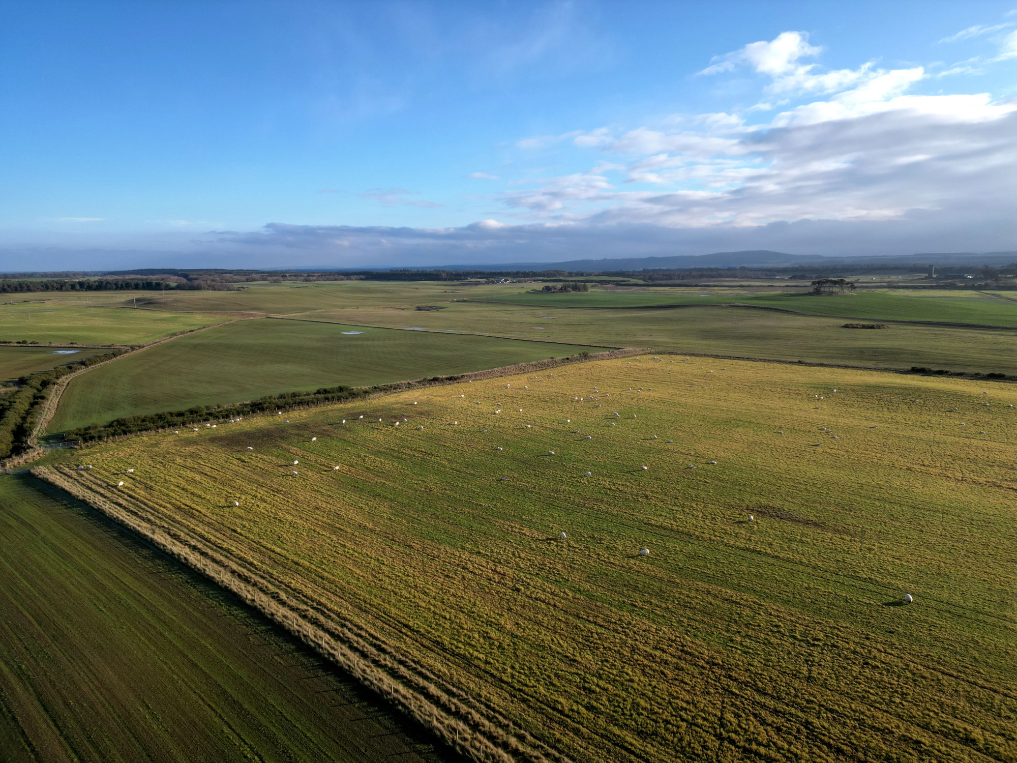 Aberdeen & Northern Estates