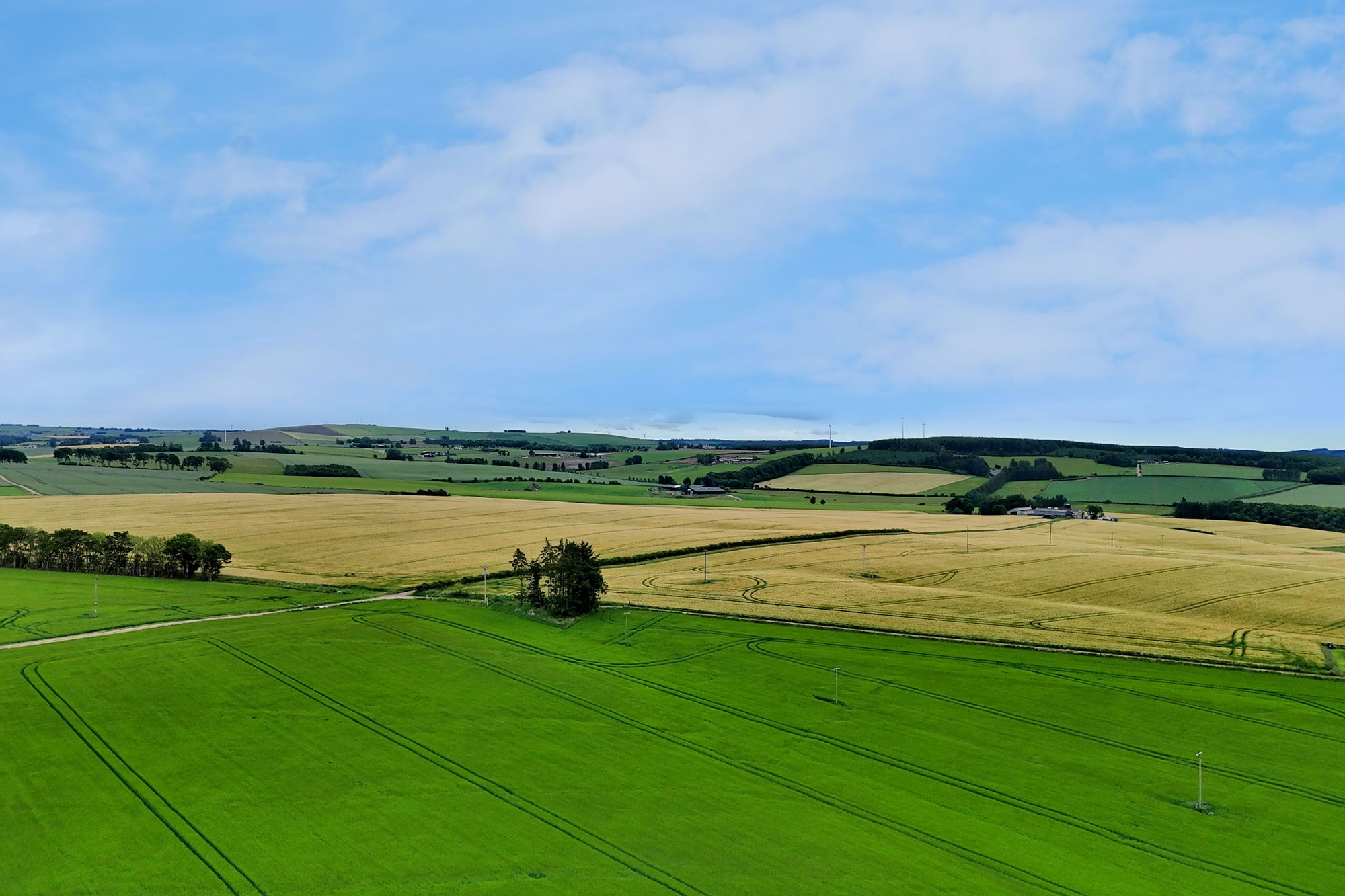 Aberdeen & Northern Estates