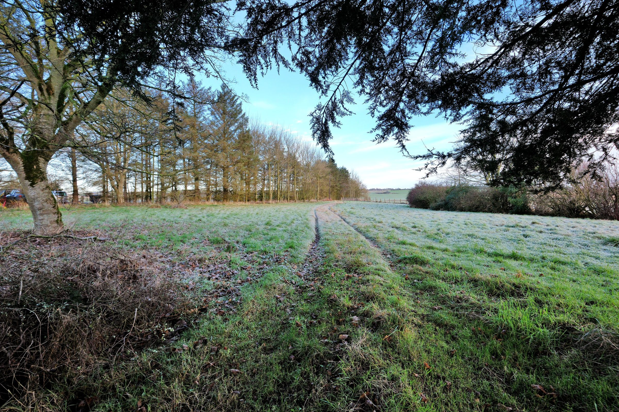 Aberdeen & Northern Estates