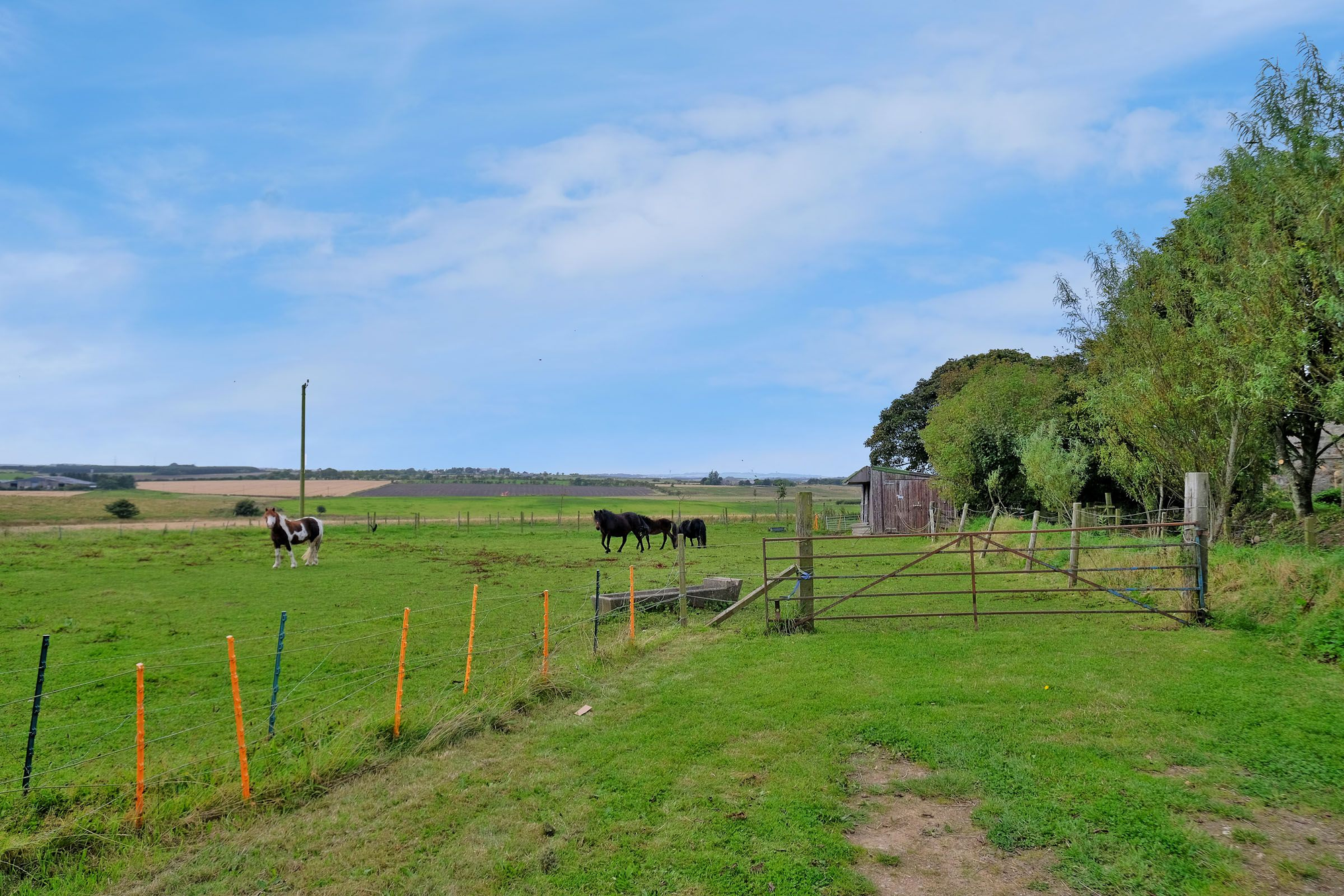 Aberdeen & Northern Estates