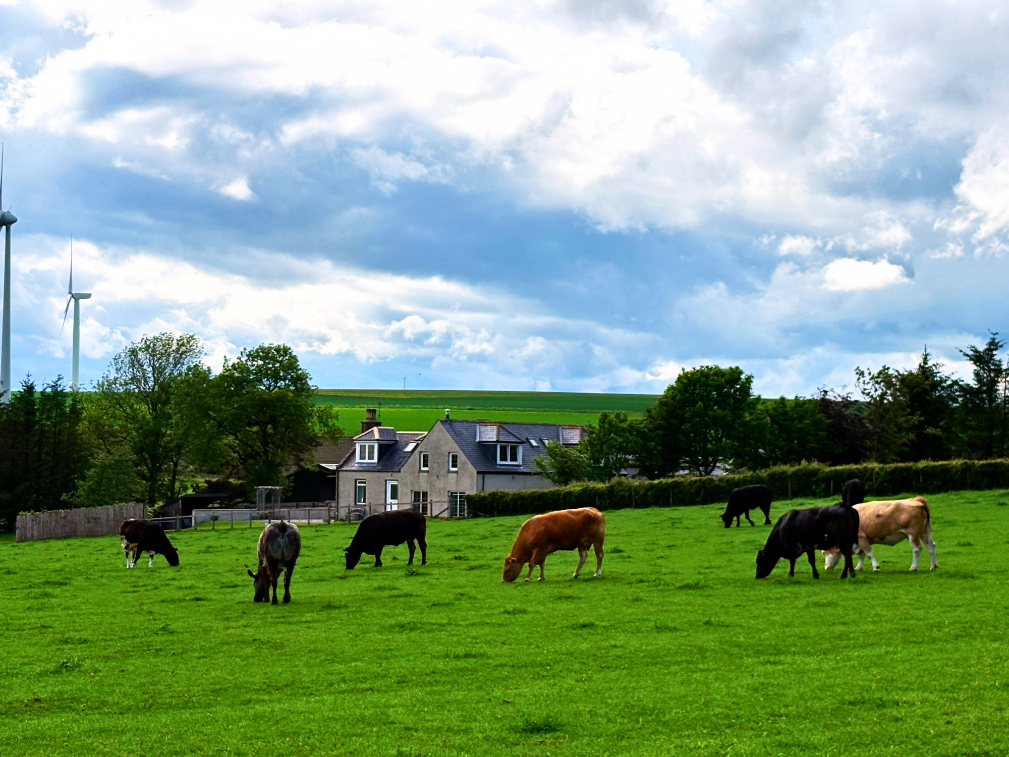 Aberdeen & Northern Estates