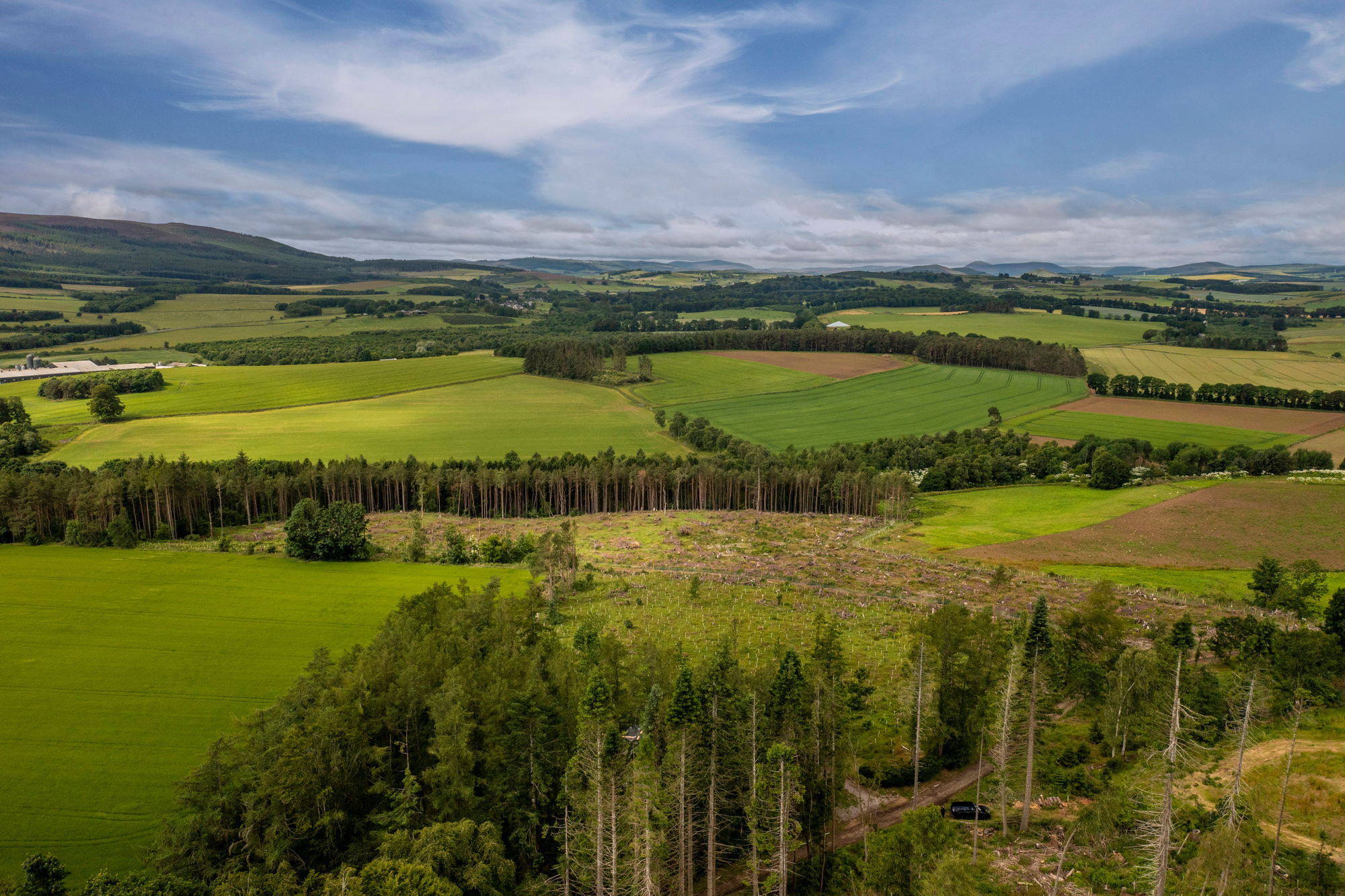 Aberdeen & Northern Estates