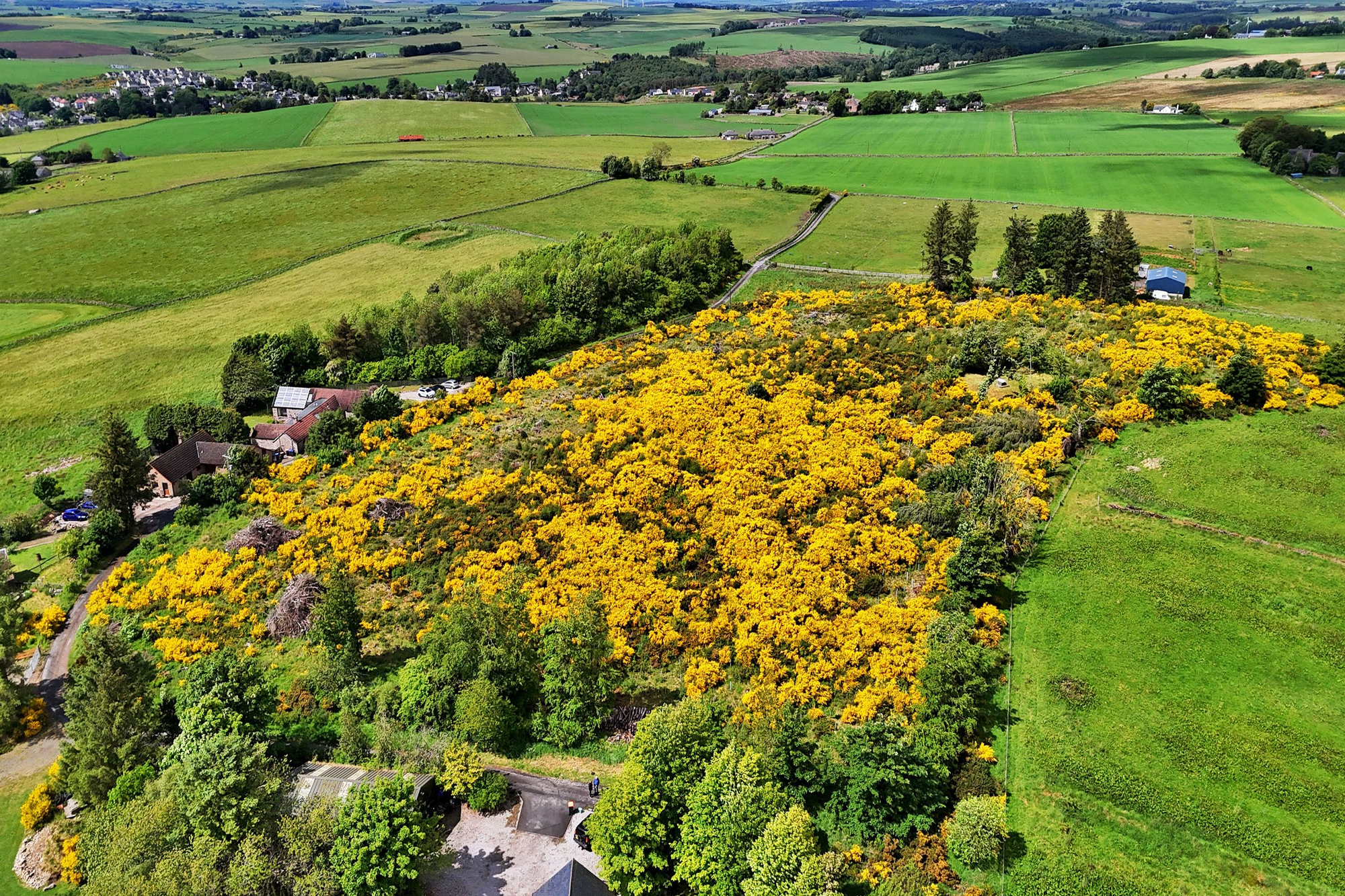 Aberdeen & Northern Estates