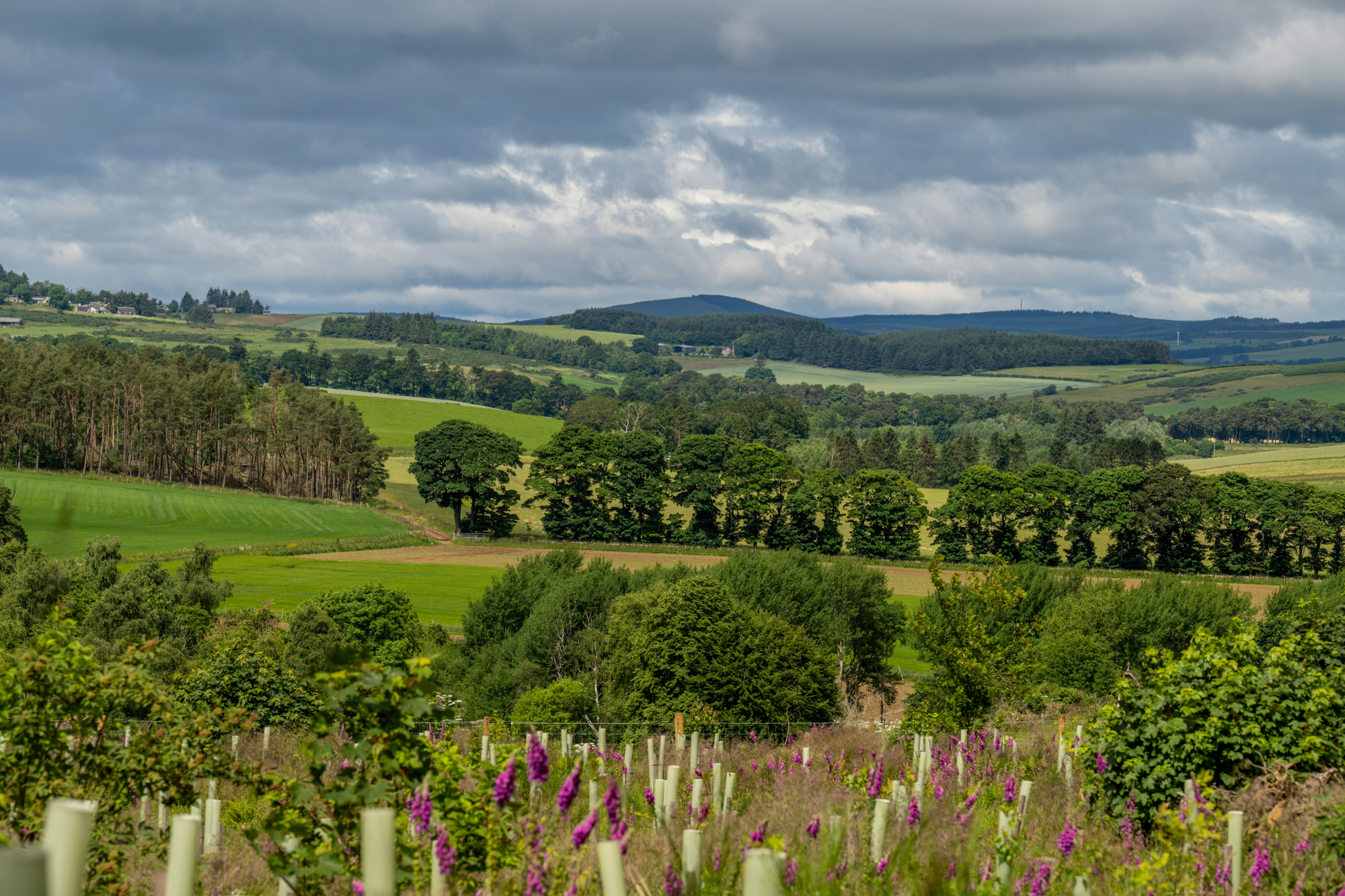 Aberdeen & Northern Estates