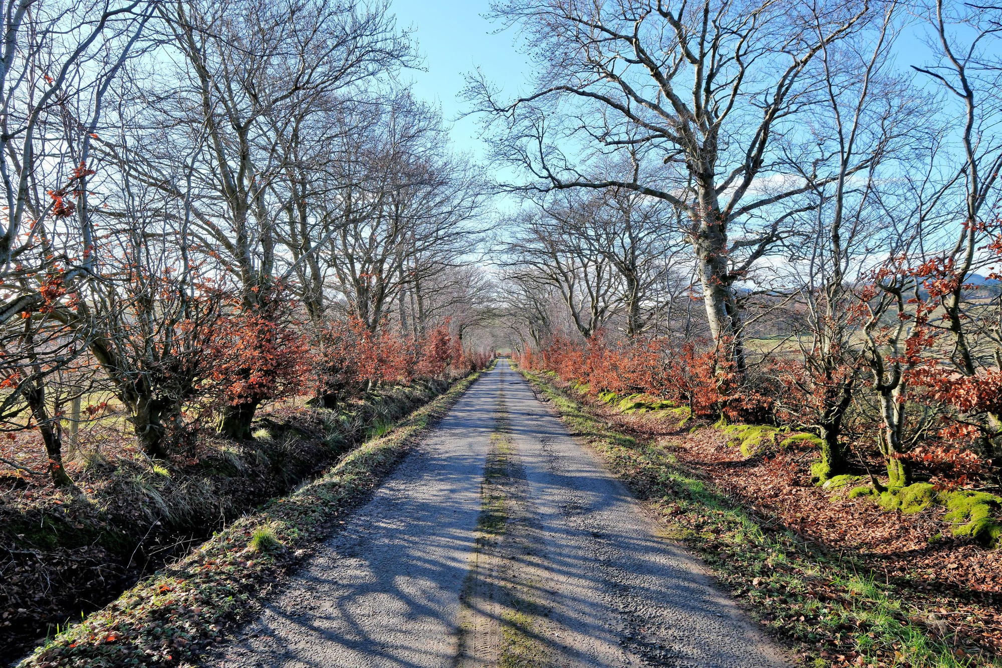 Aberdeen & Northern Estates