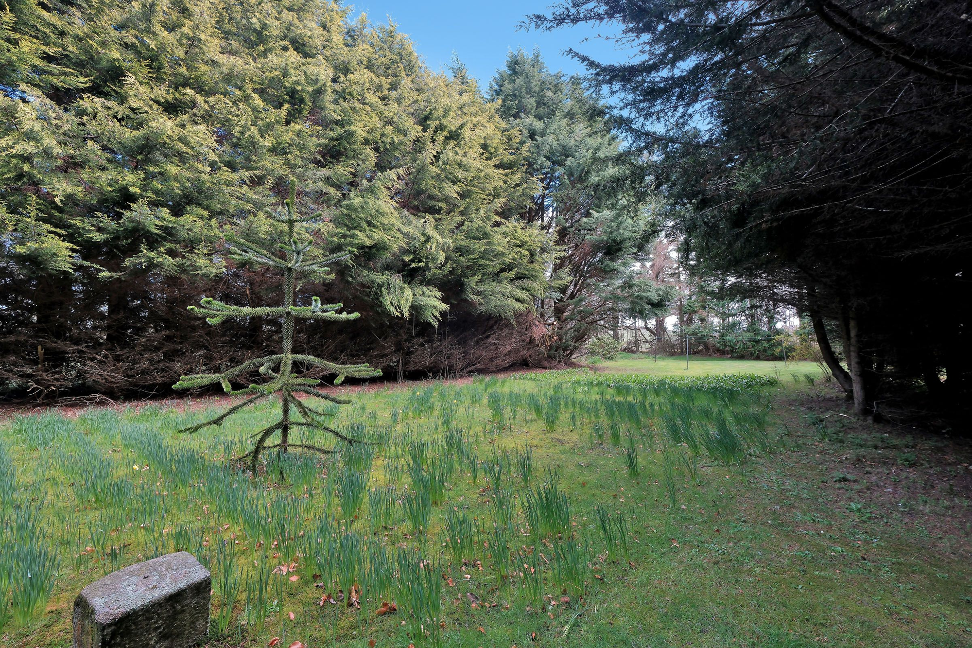 Aberdeen & Northern Estates