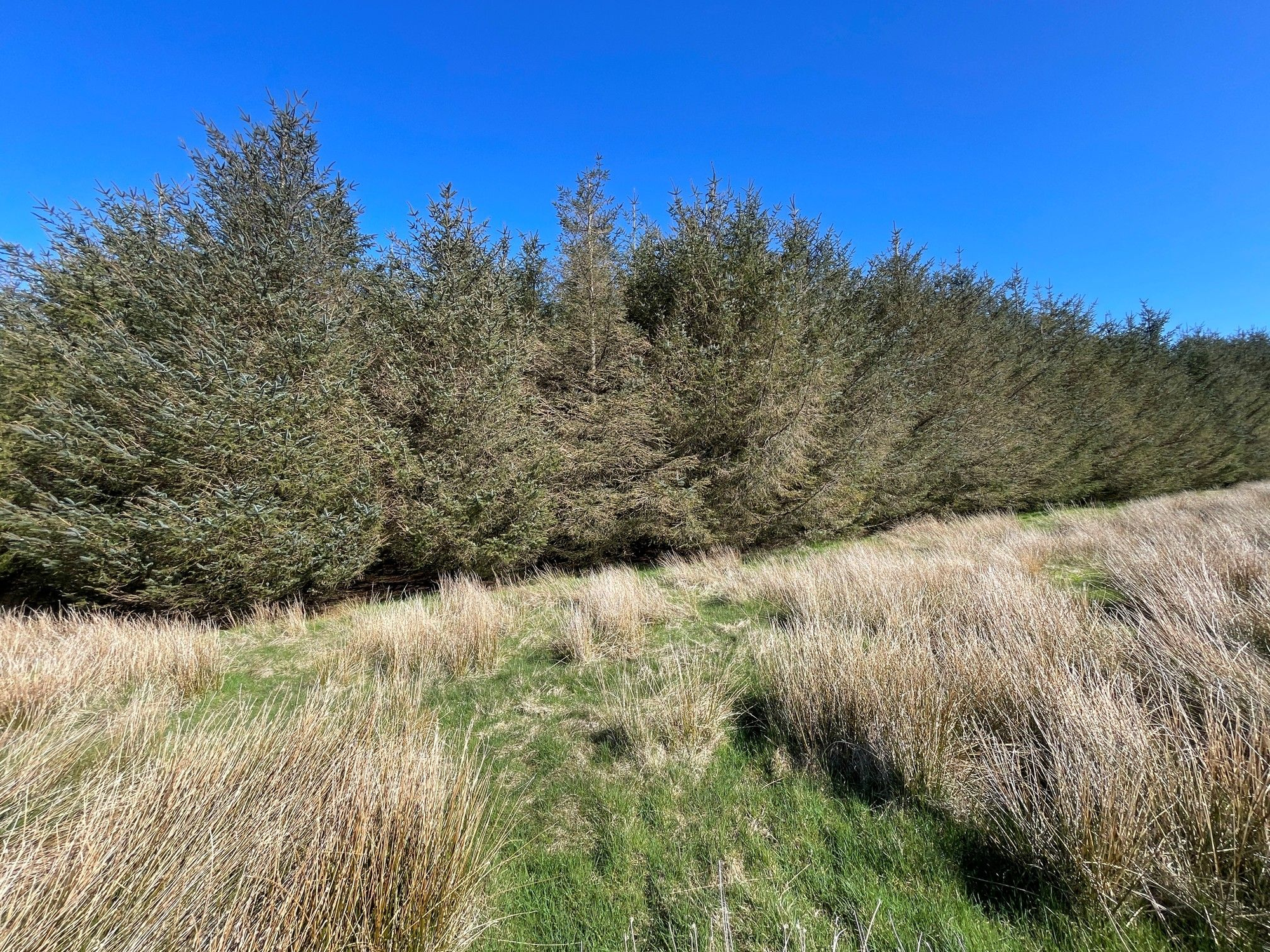 Aberdeen & Northern Estates