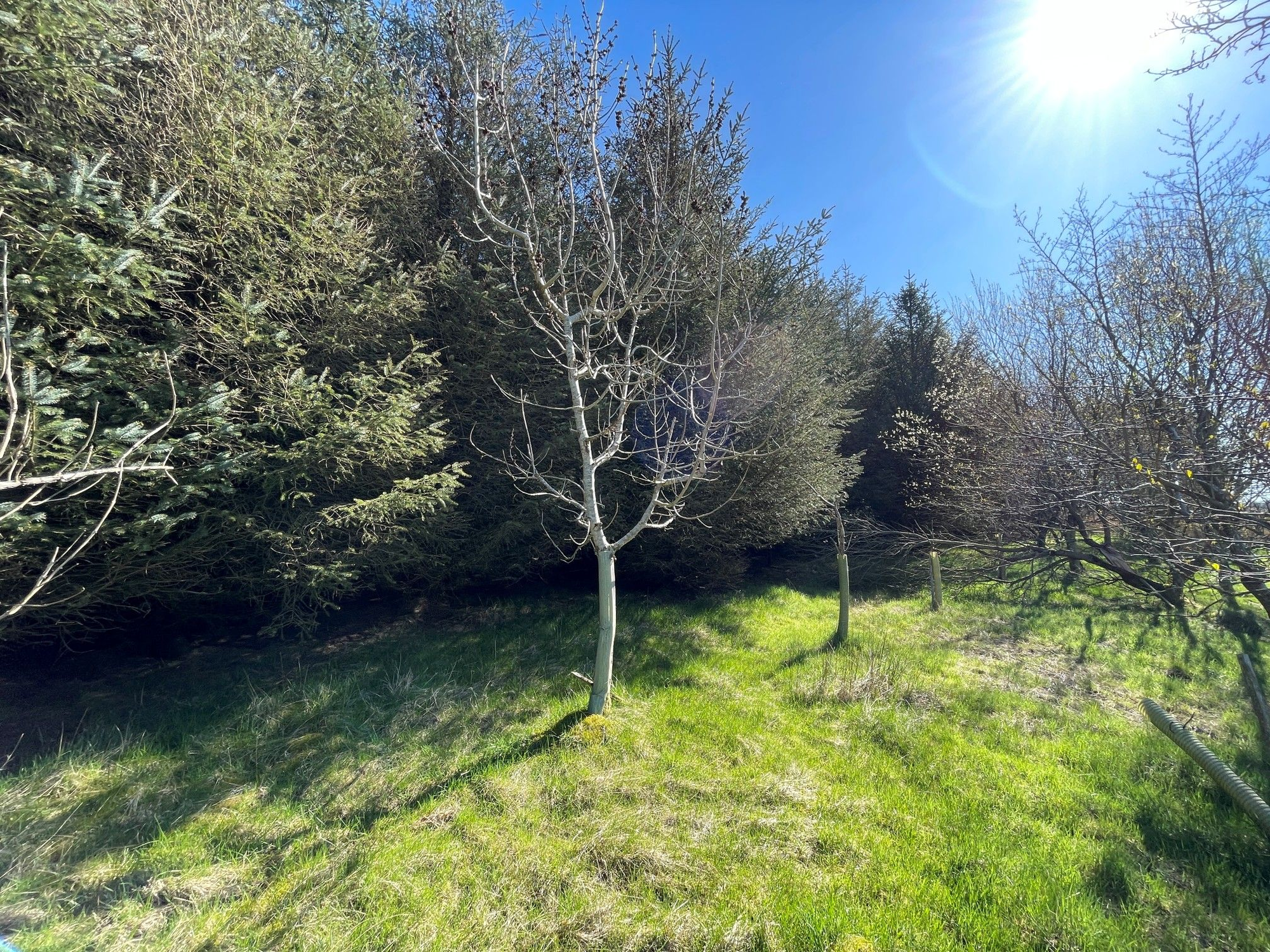 Aberdeen & Northern Estates