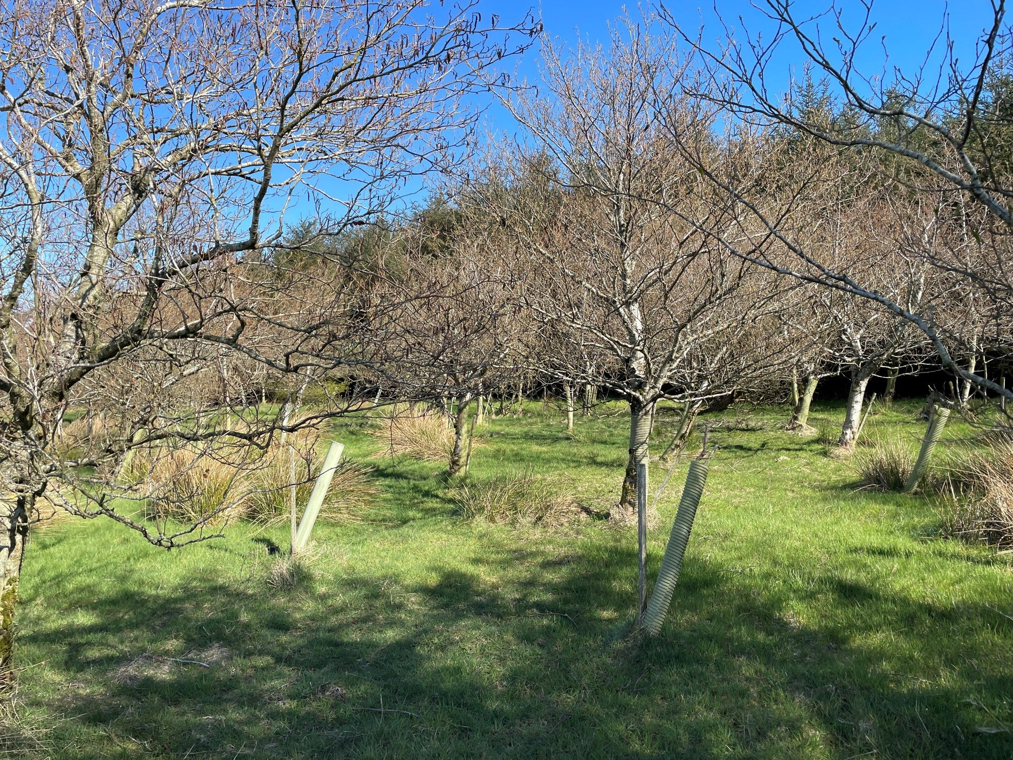 Aberdeen & Northern Estates