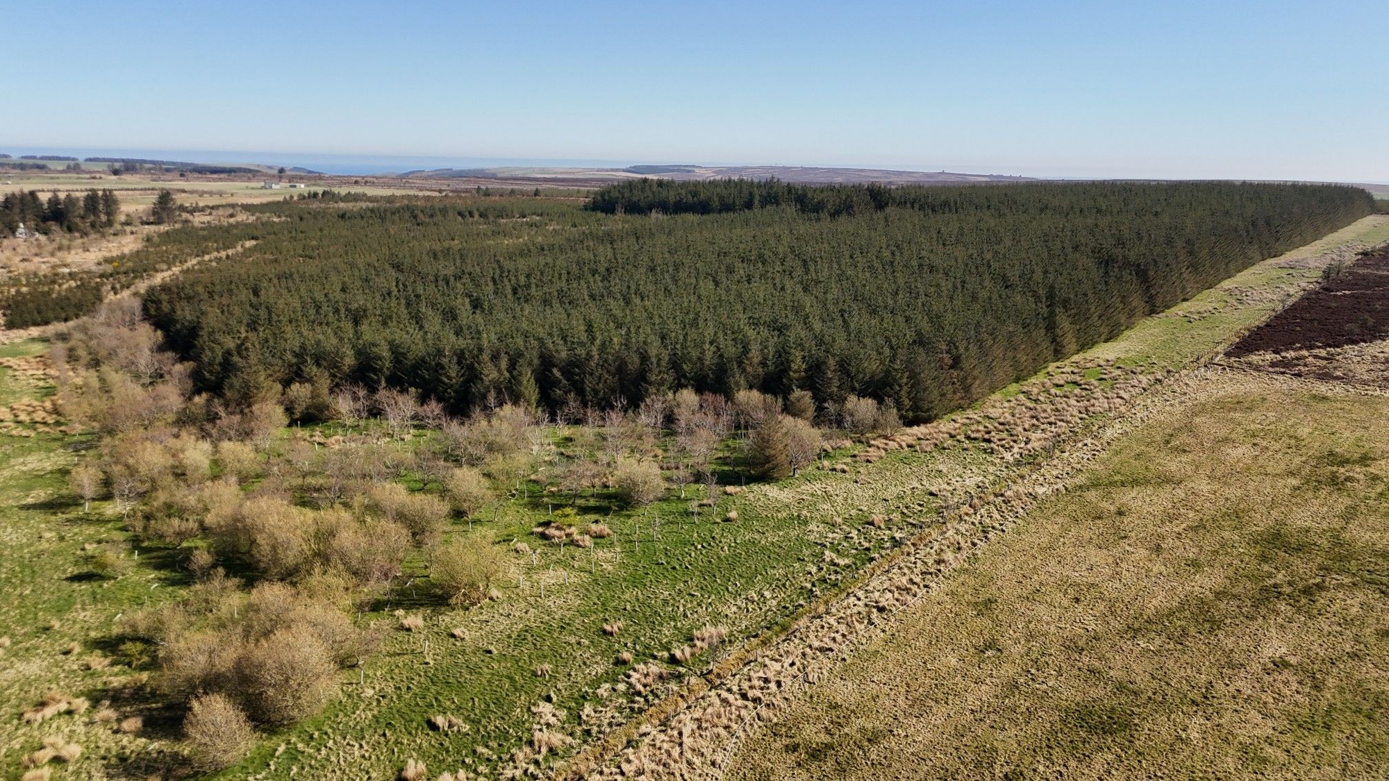 Aberdeen & Northern Estates