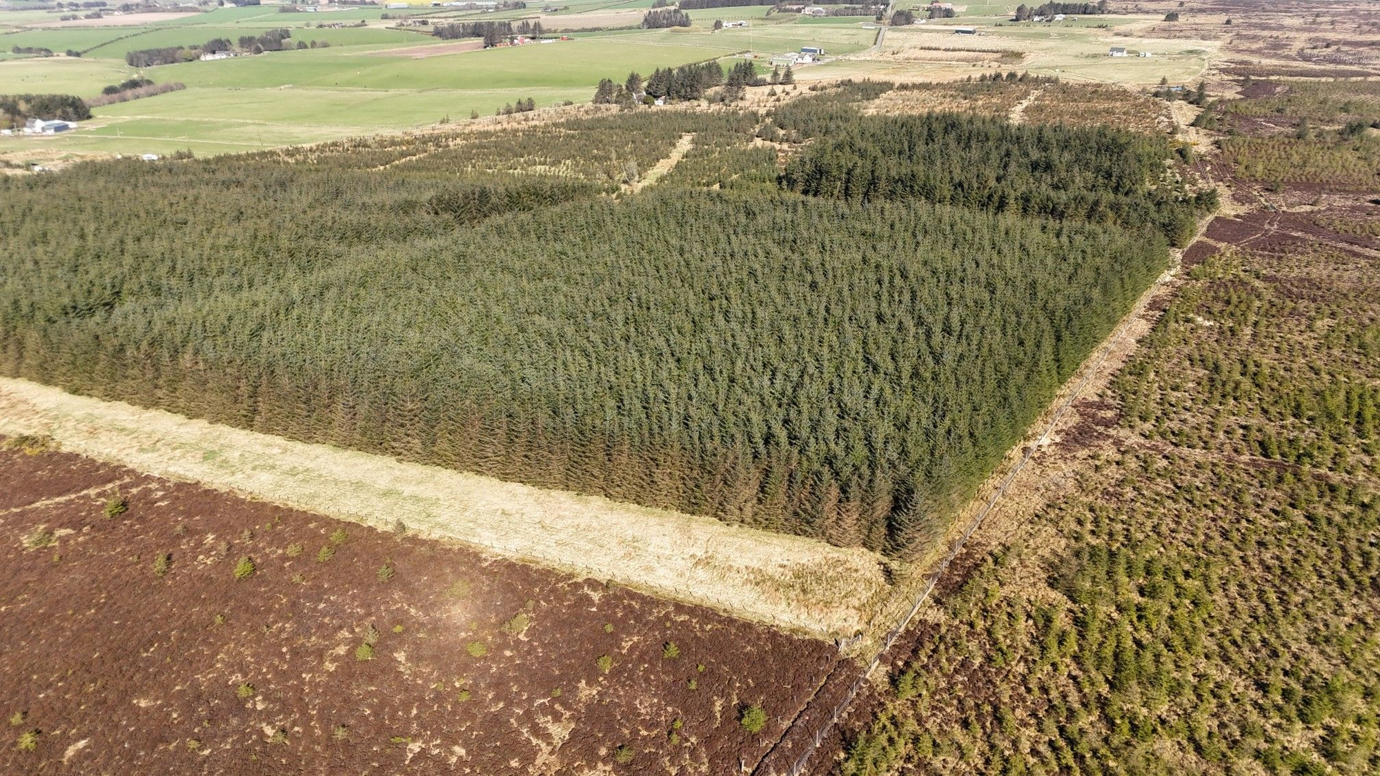 Aberdeen & Northern Estates