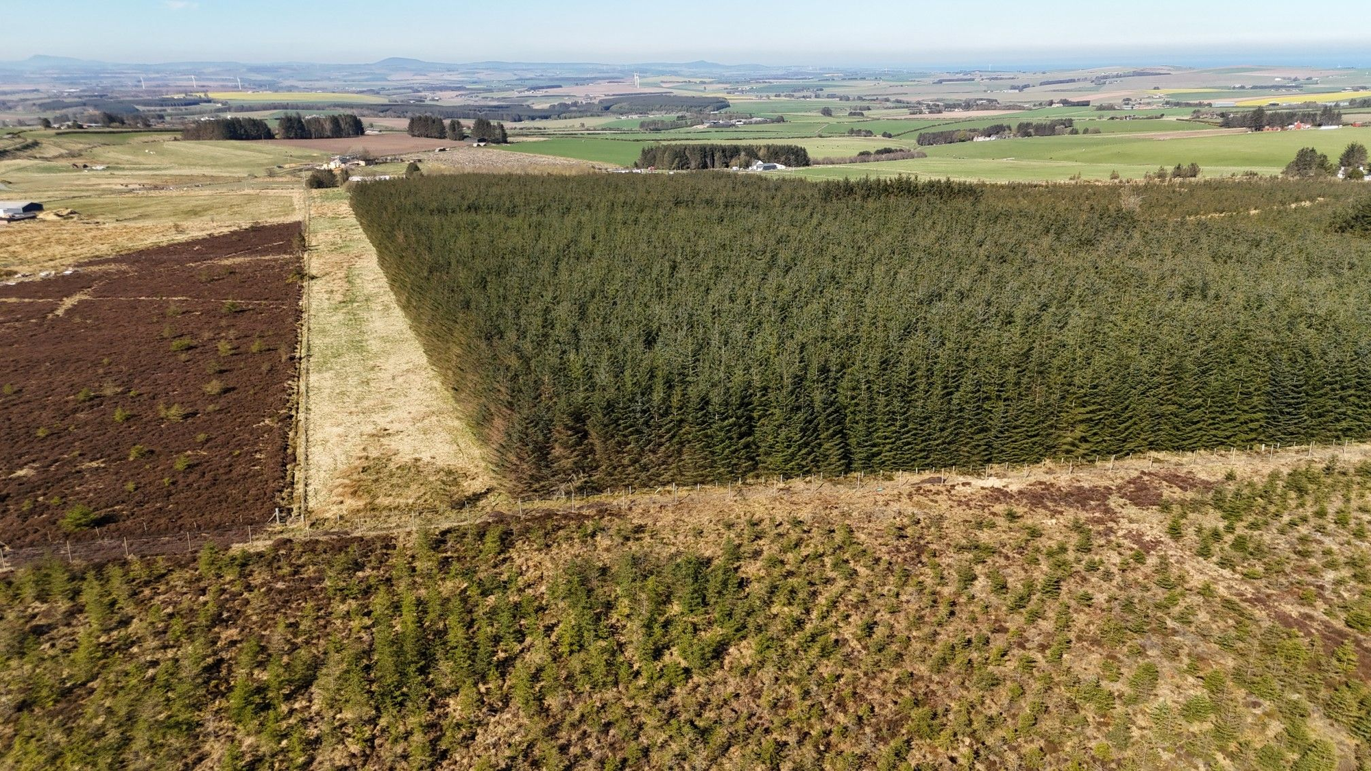 Aberdeen & Northern Estates