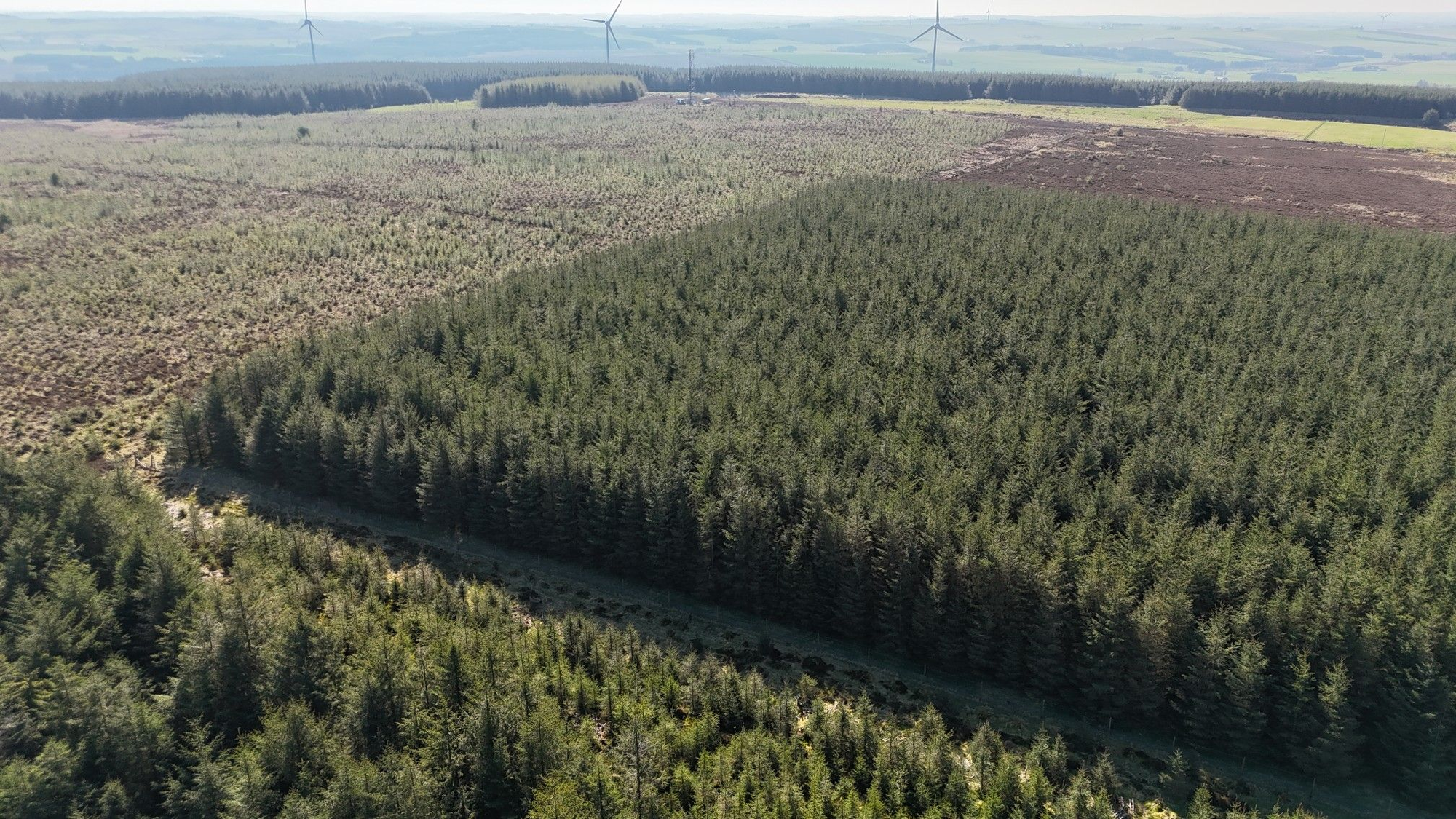 Aberdeen & Northern Estates