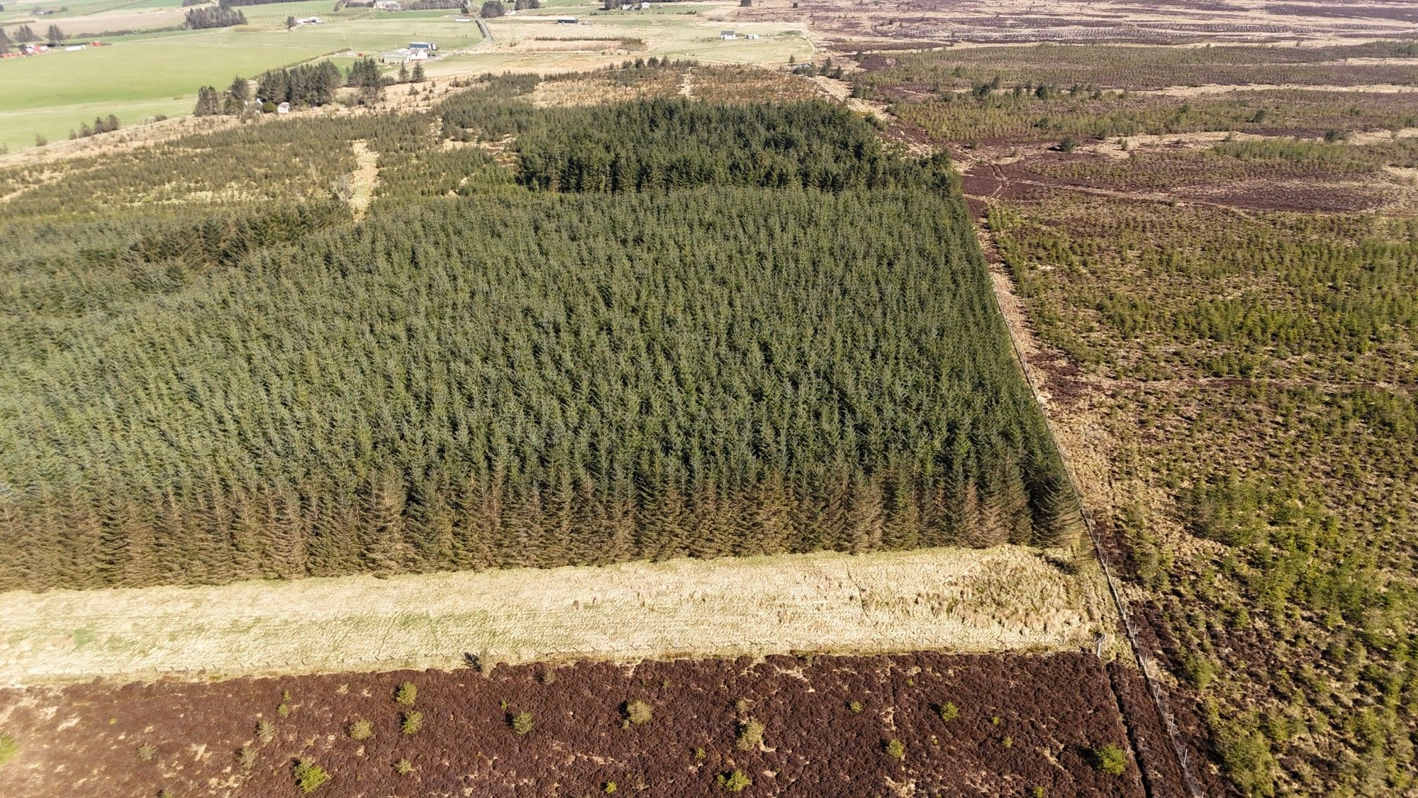 Aberdeen & Northern Estates