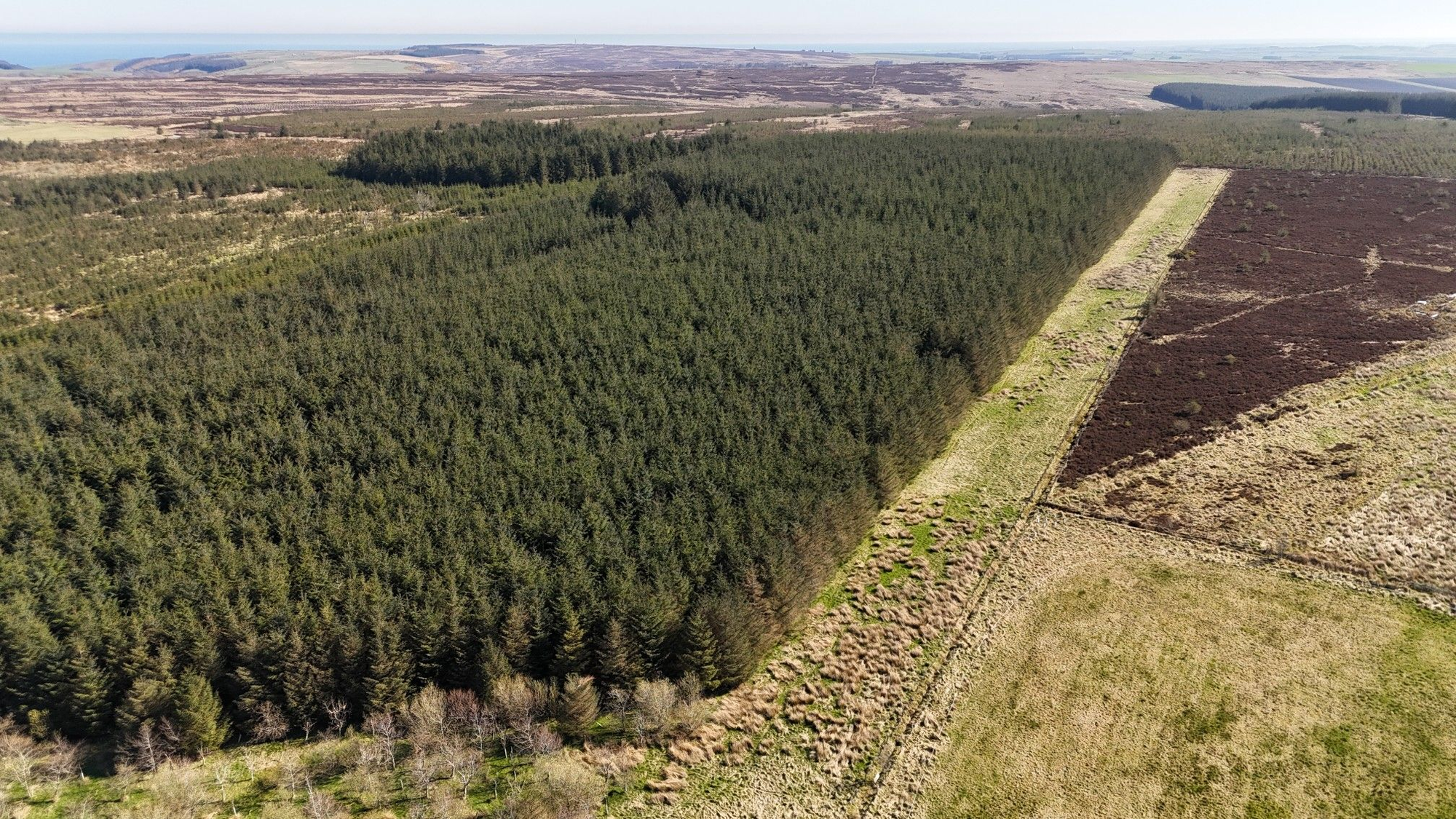 Aberdeen & Northern Estates