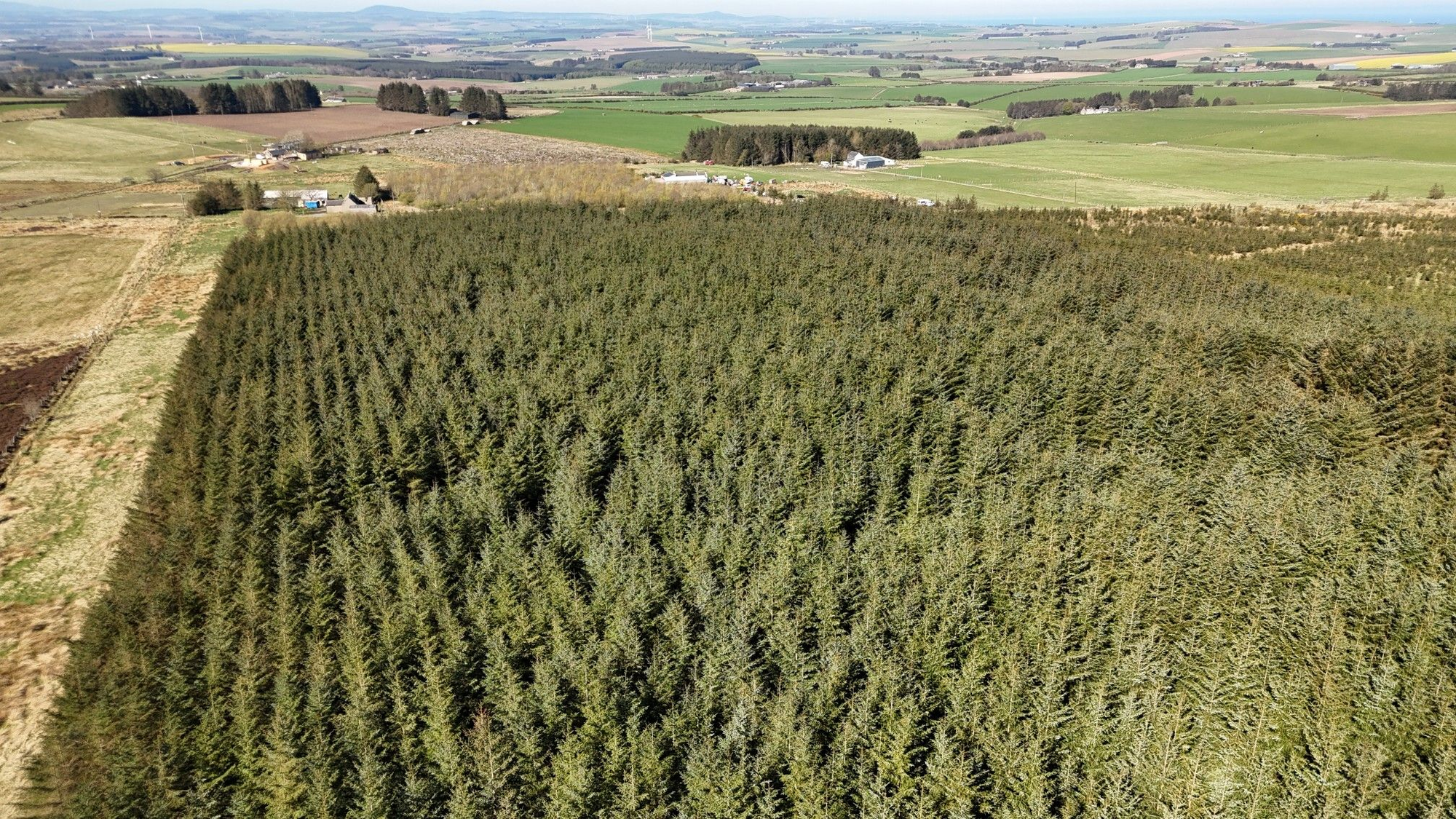 Aberdeen & Northern Estates