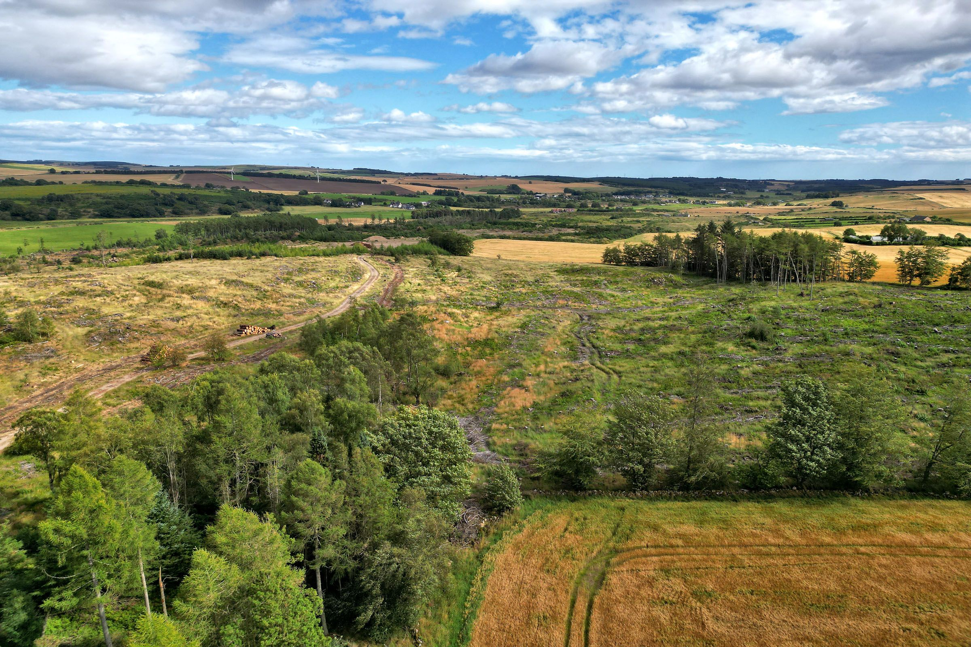 Aberdeen & Northern Estates