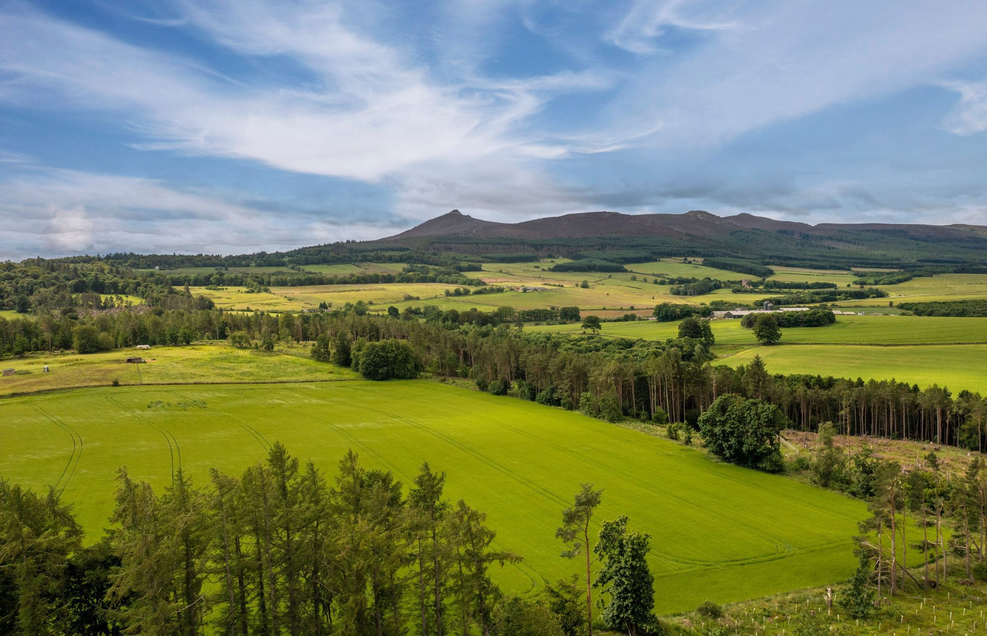 Aberdeen & Northern Estates