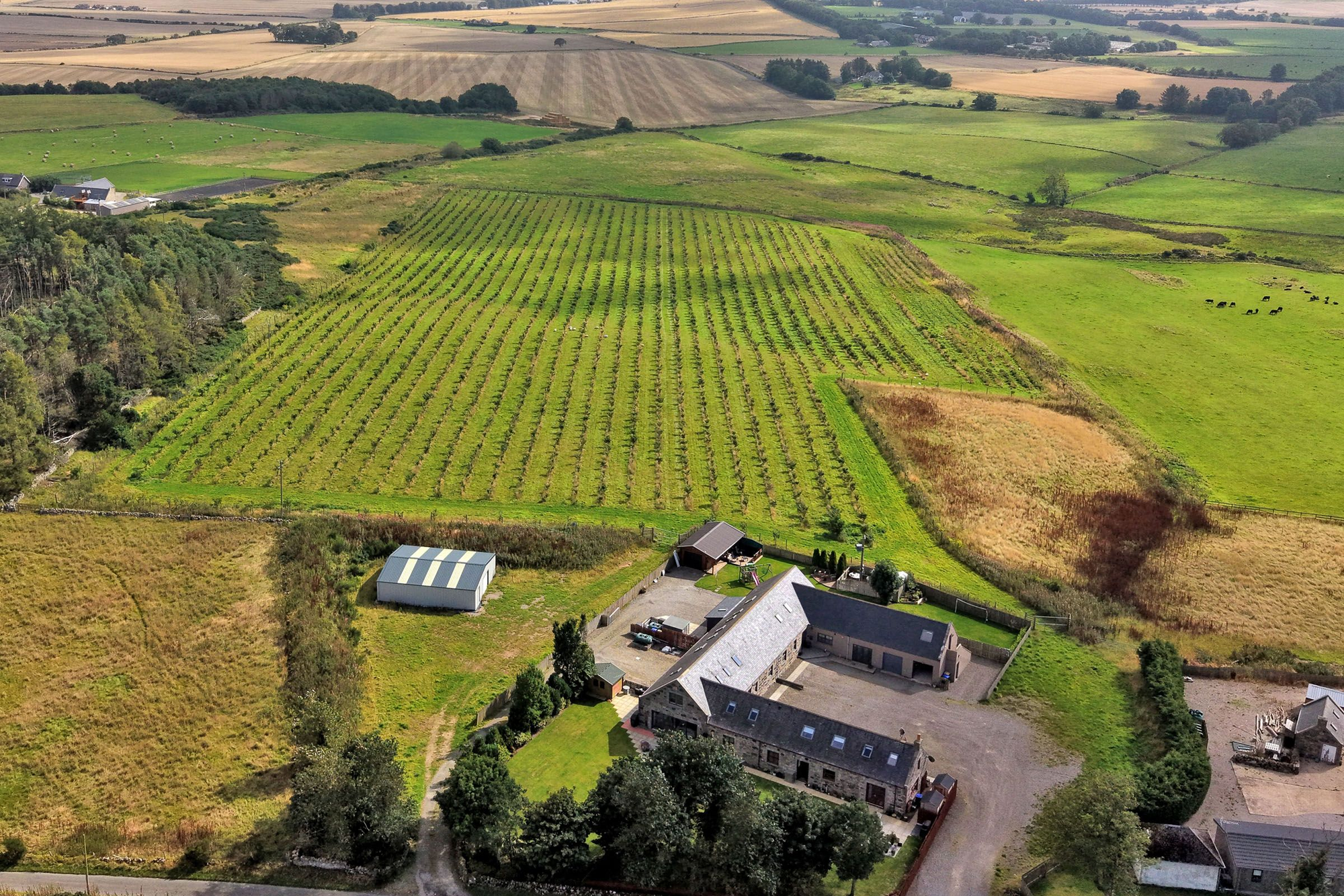 Aberdeen & Northern Estates