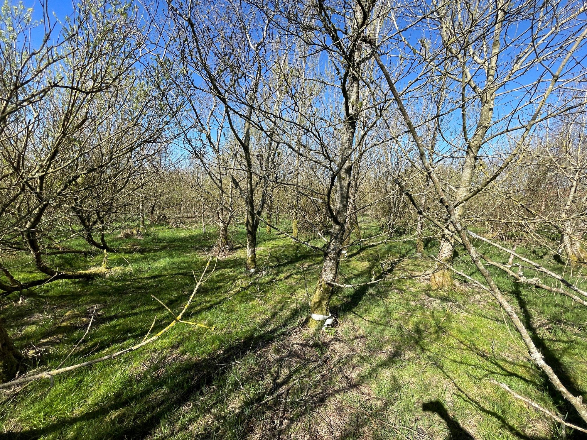 Aberdeen & Northern Estates