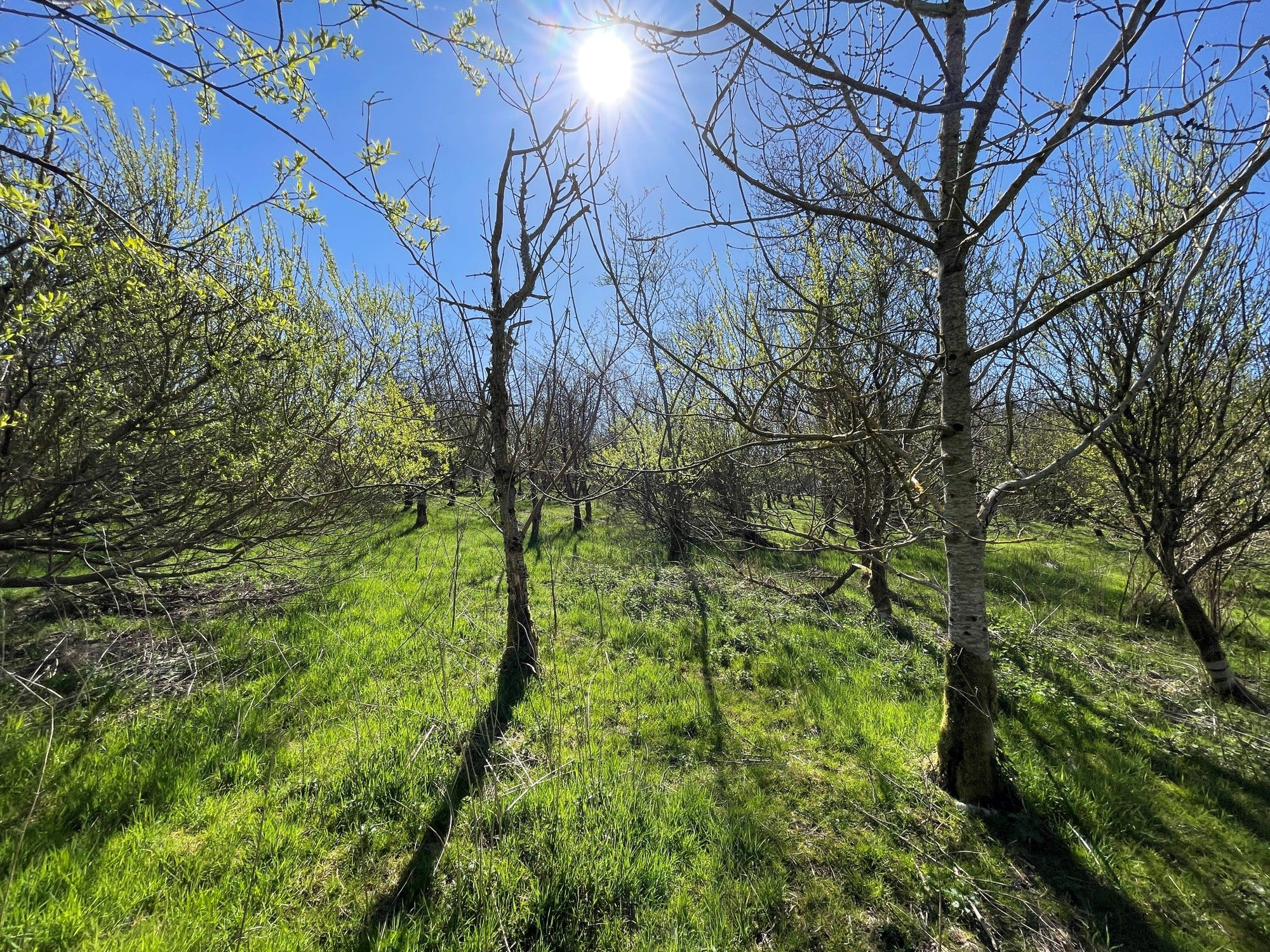 Aberdeen & Northern Estates