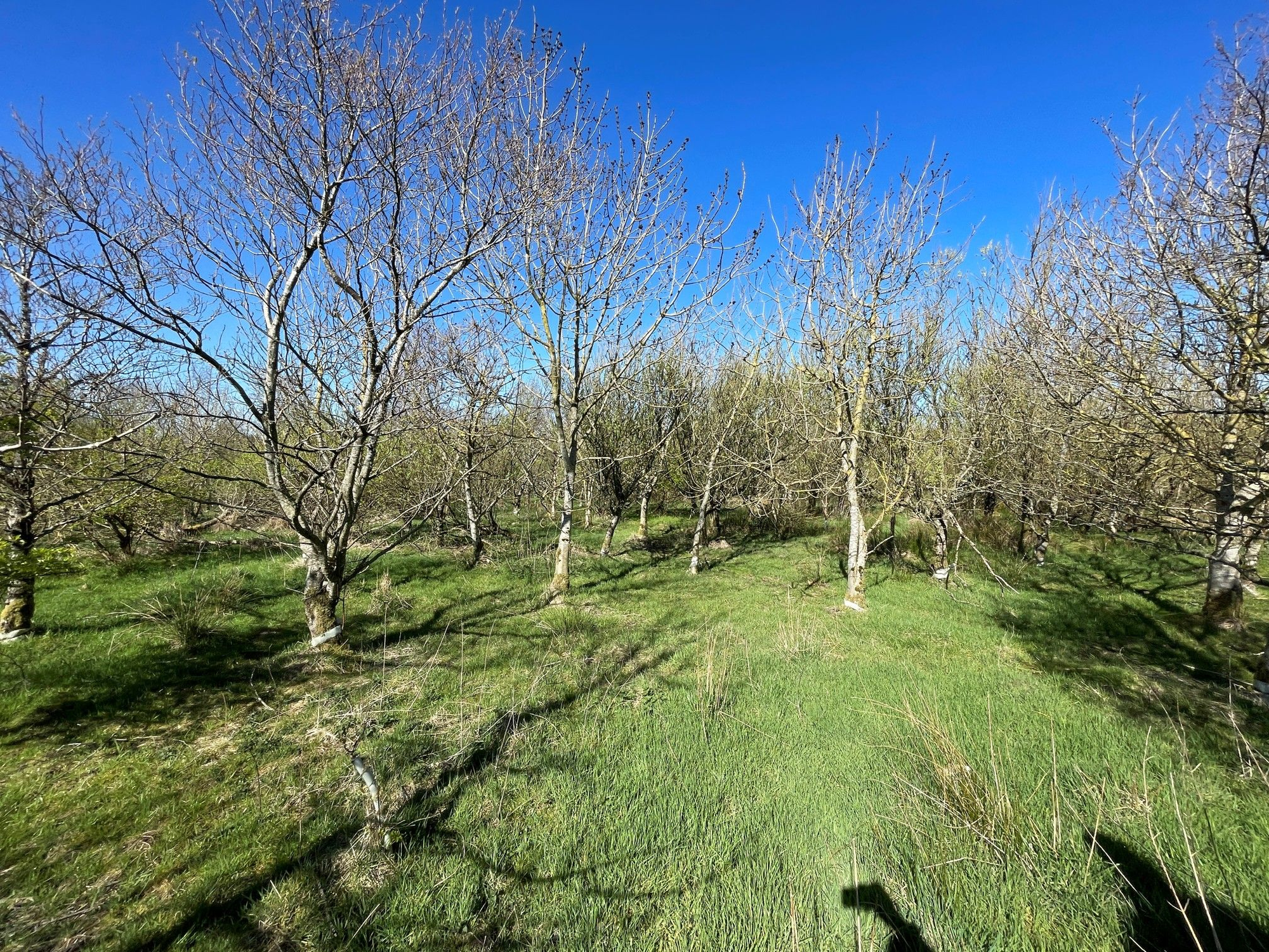 Aberdeen & Northern Estates