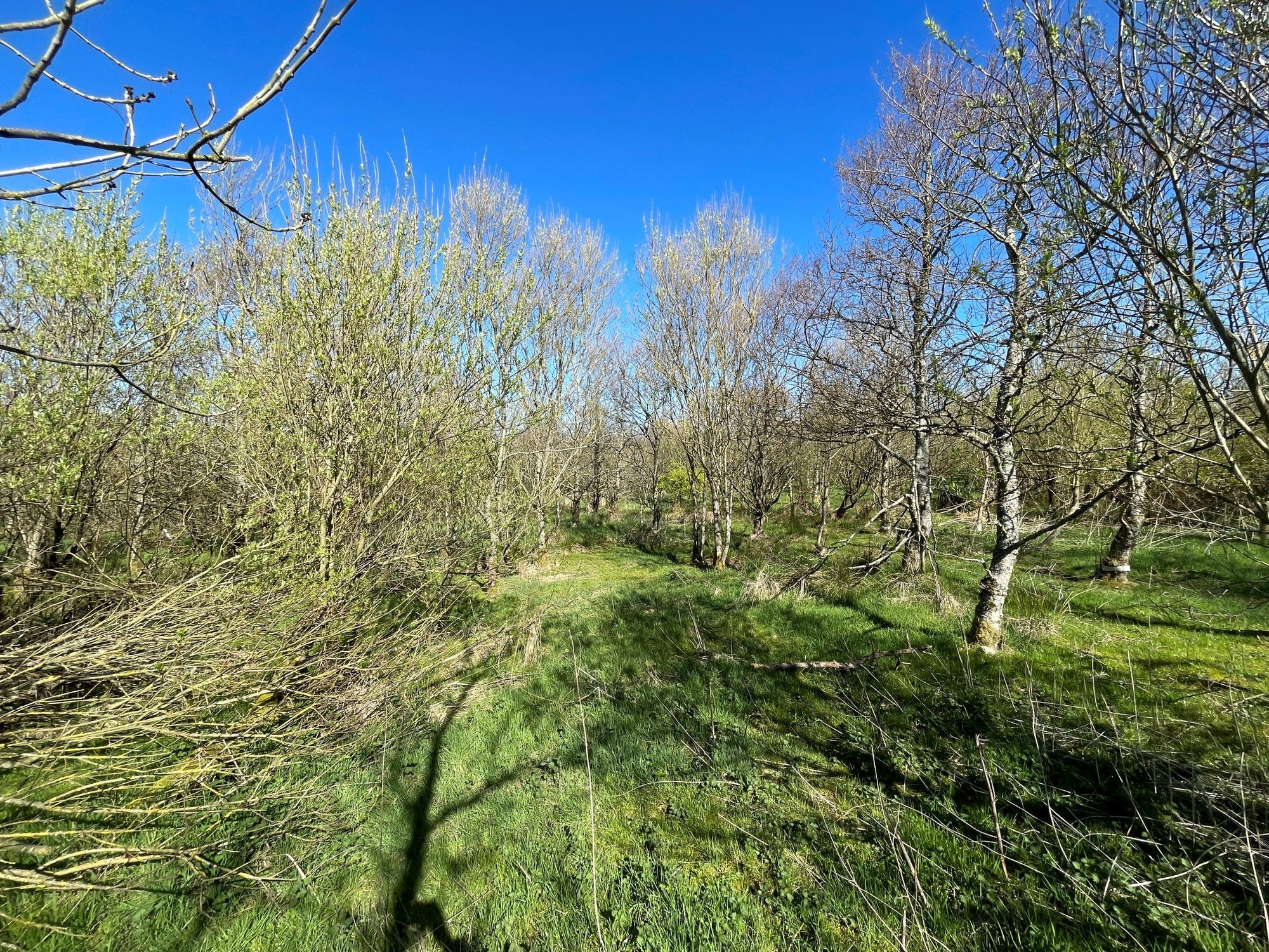 Aberdeen & Northern Estates