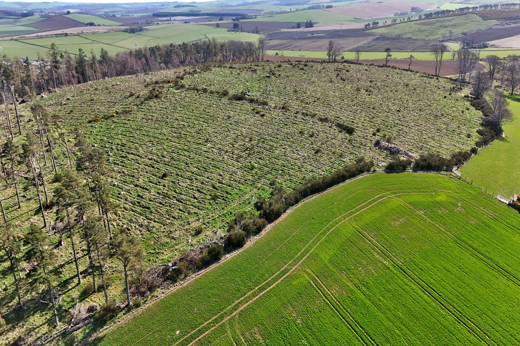 Aberdeen & Northern Estates