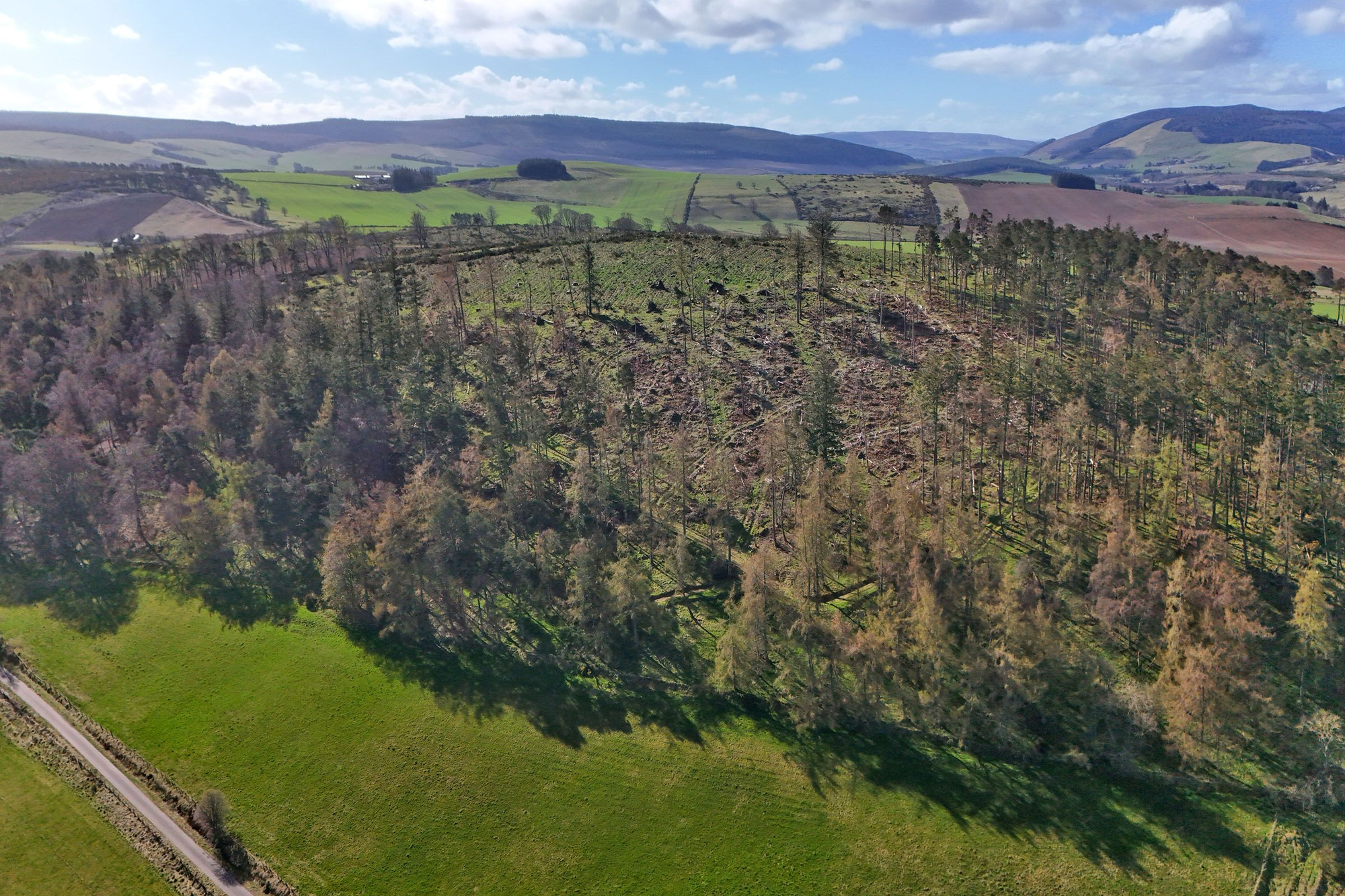 Aberdeen & Northern Estates