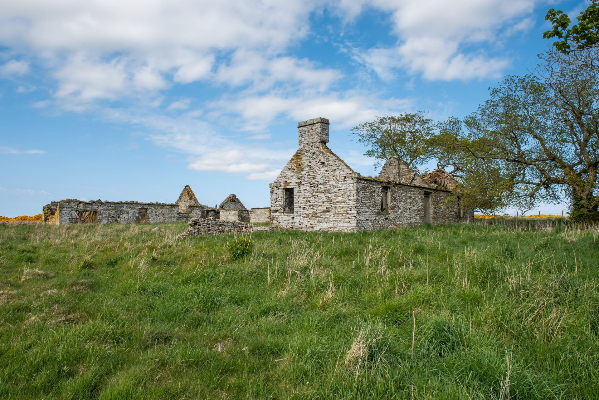 Aberdeen & Northern Estates