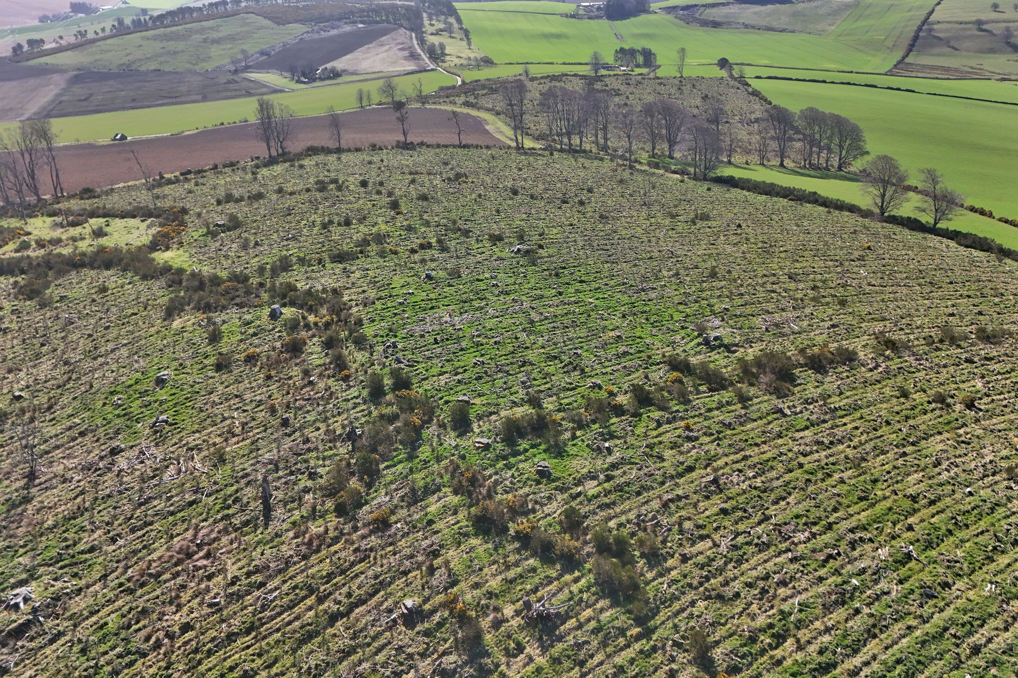 Aberdeen & Northern Estates