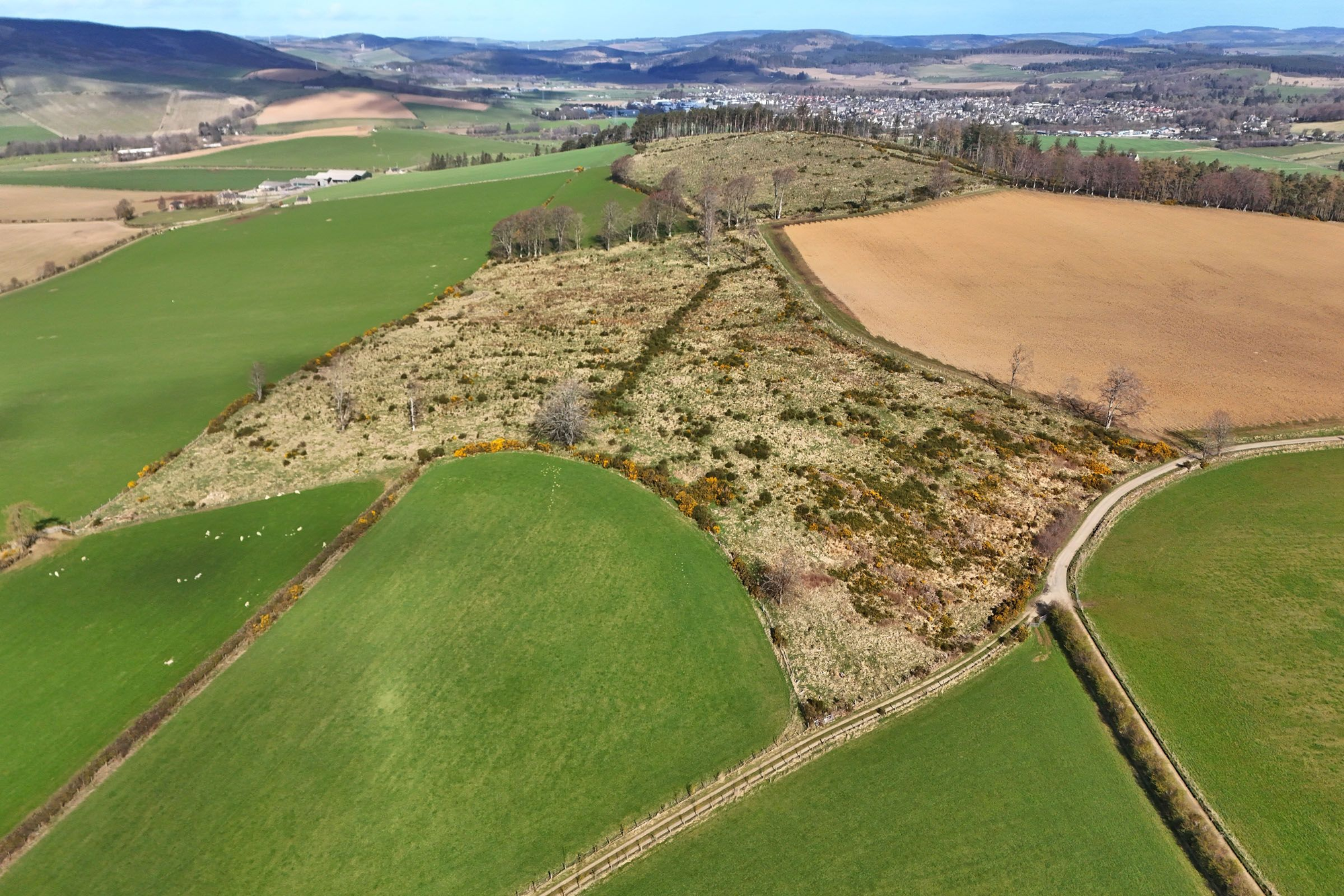 Aberdeen & Northern Estates