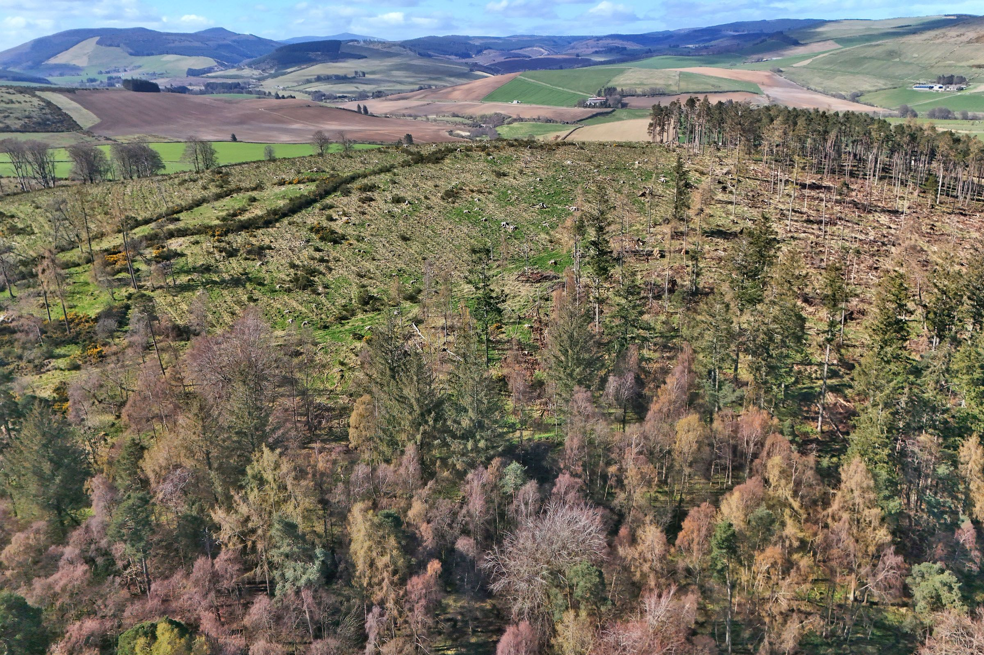 Aberdeen & Northern Estates