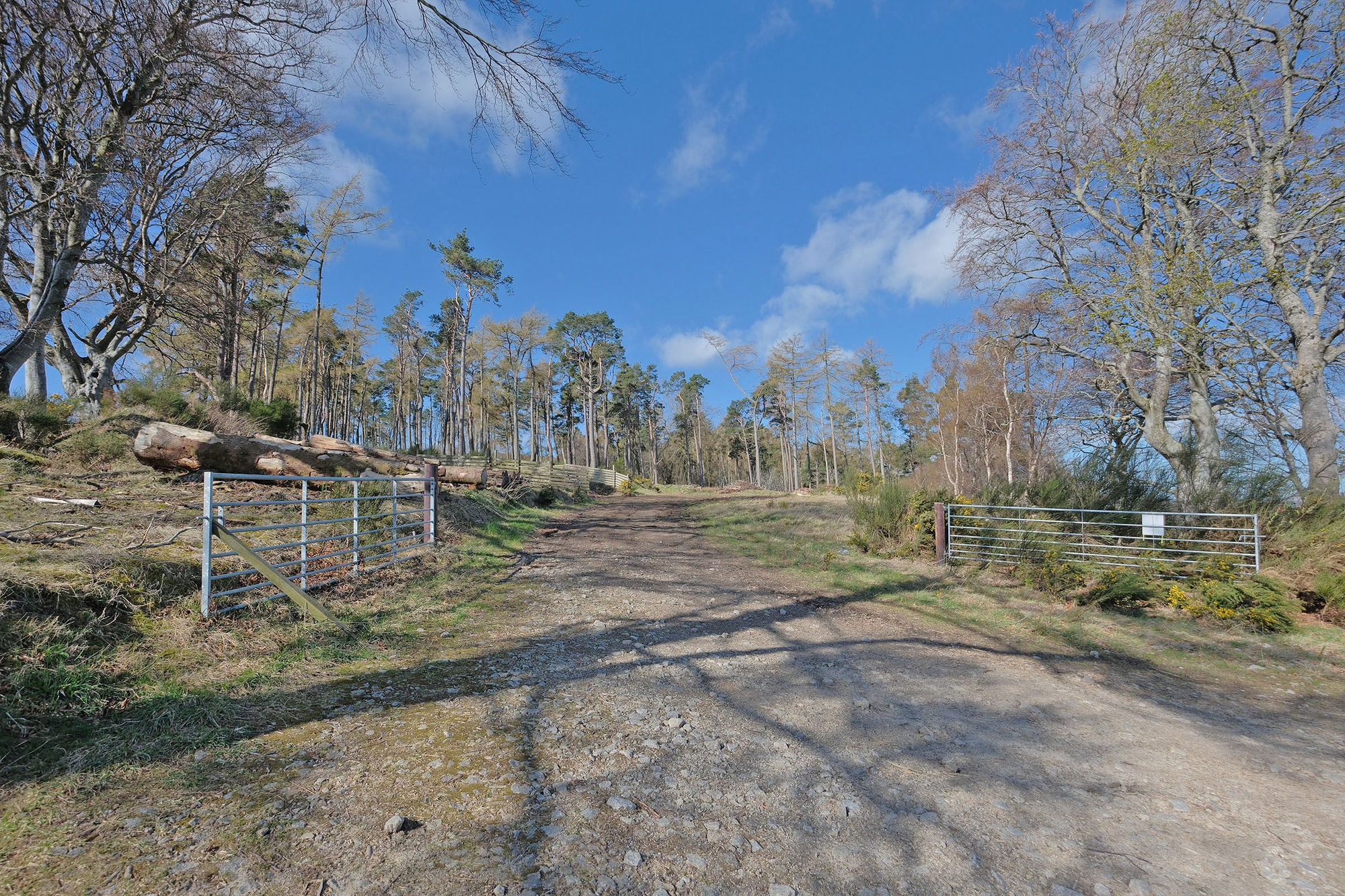 Aberdeen & Northern Estates