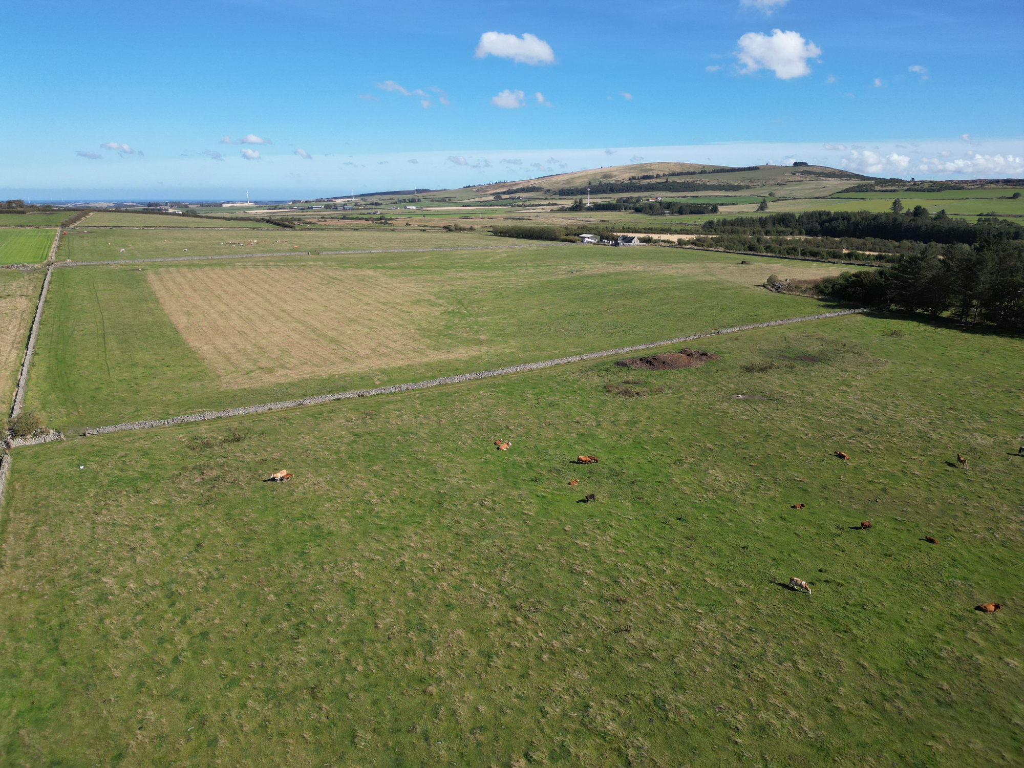 Aberdeen & Northern Estates