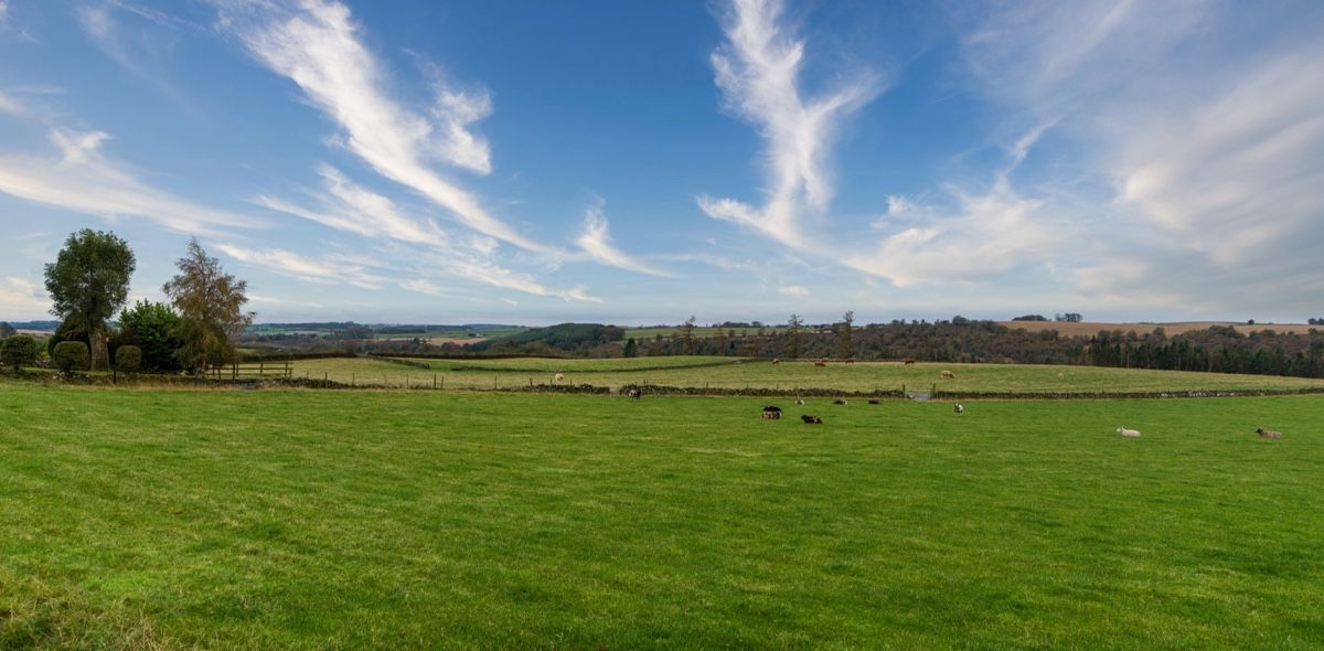 Aberdeen & Northern Estates