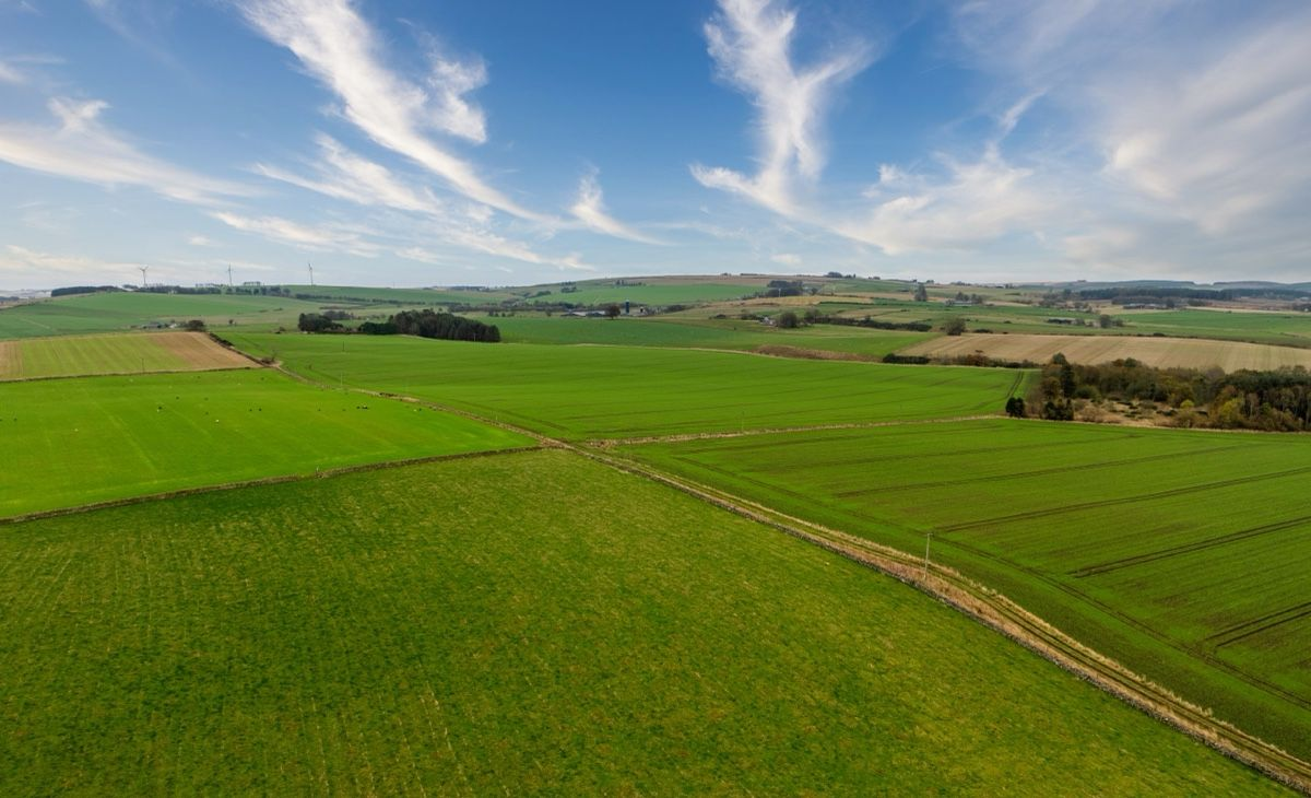 Aberdeen & Northern Estates