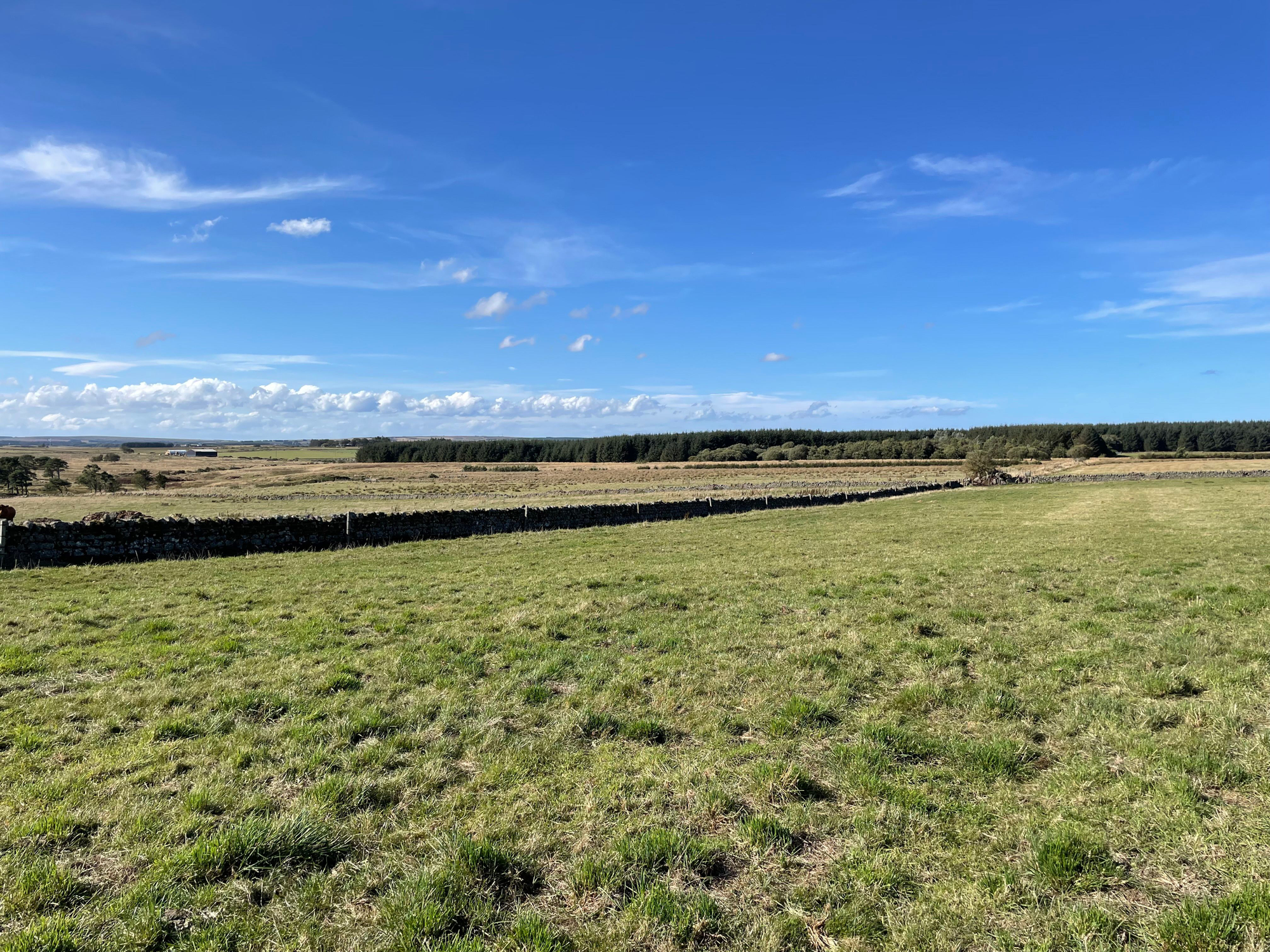 Aberdeen & Northern Estates