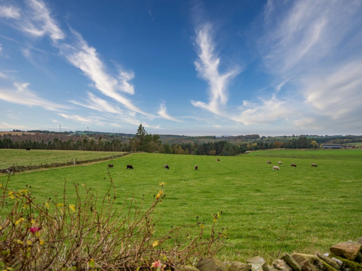 Aberdeen & Northern Estates