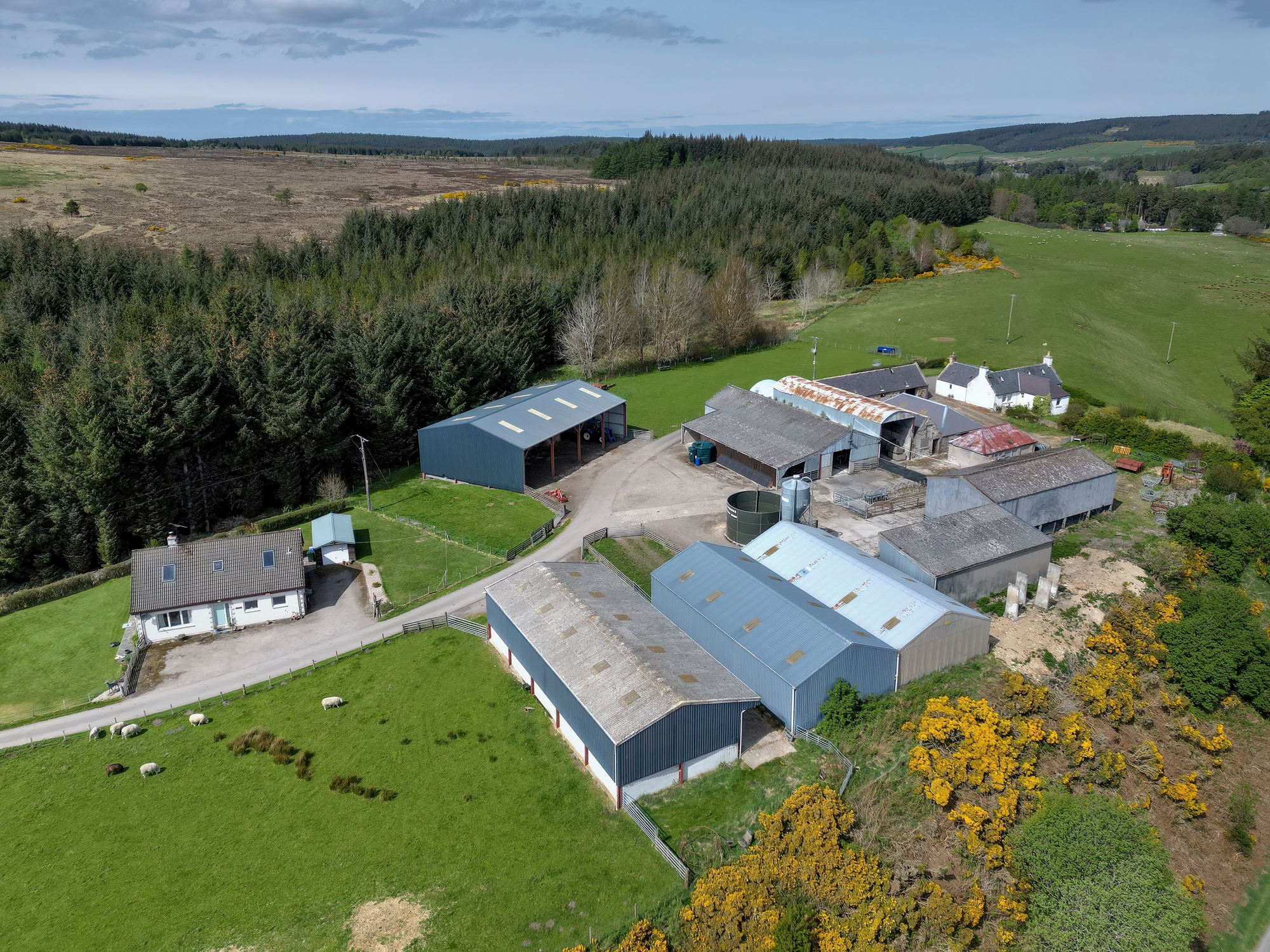 Aberdeen & Northern Estates