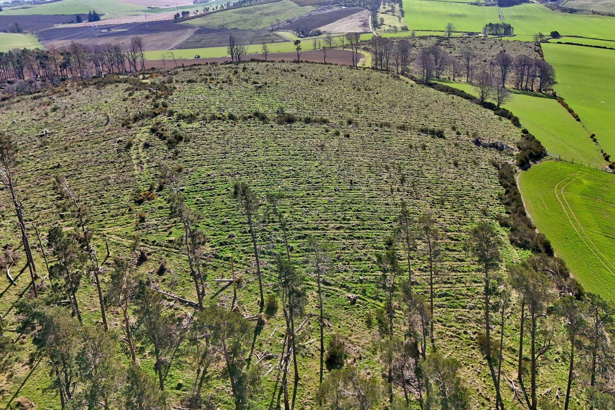 Aberdeen & Northern Estates