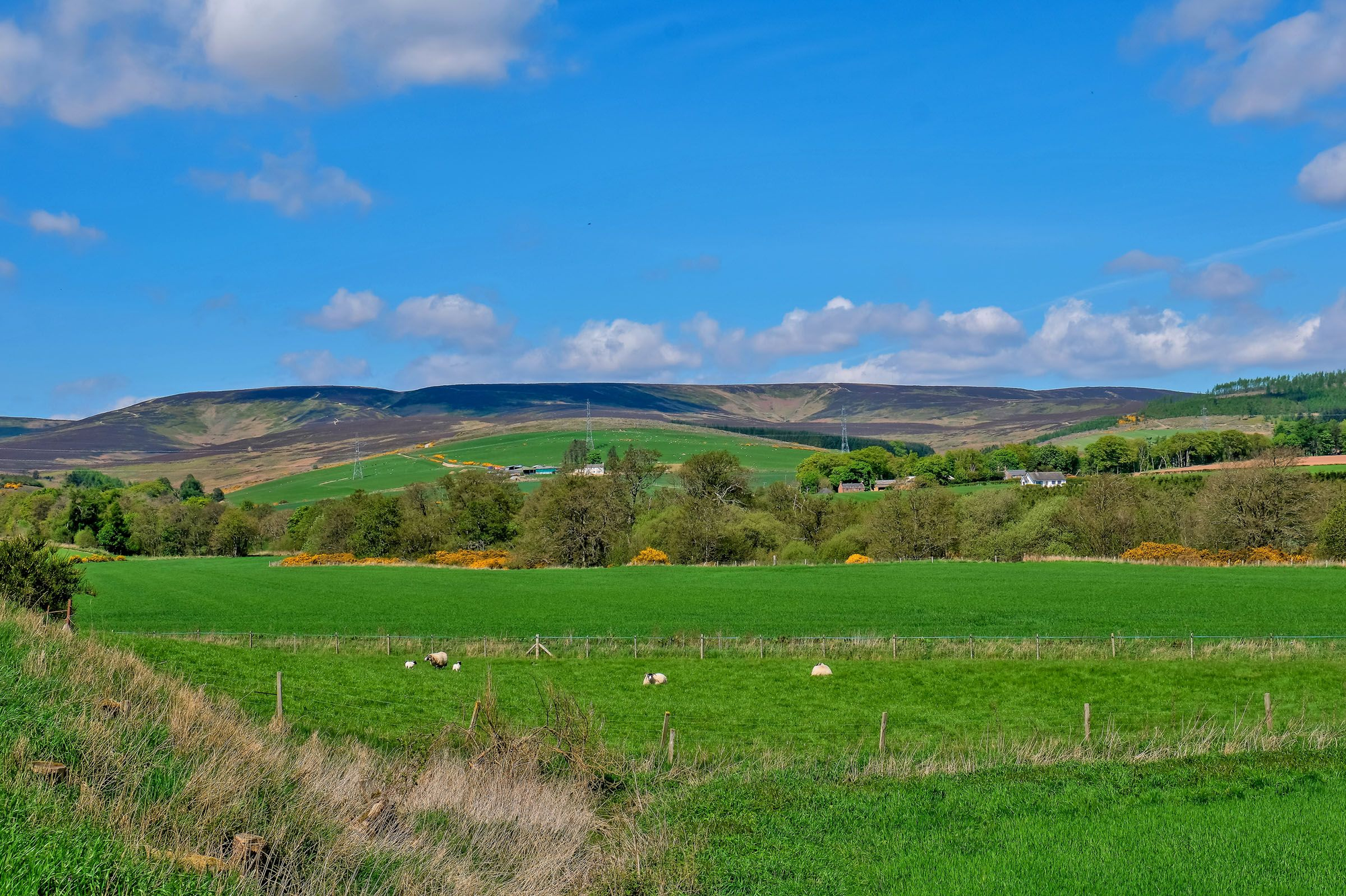 Aberdeen & Northern Estates