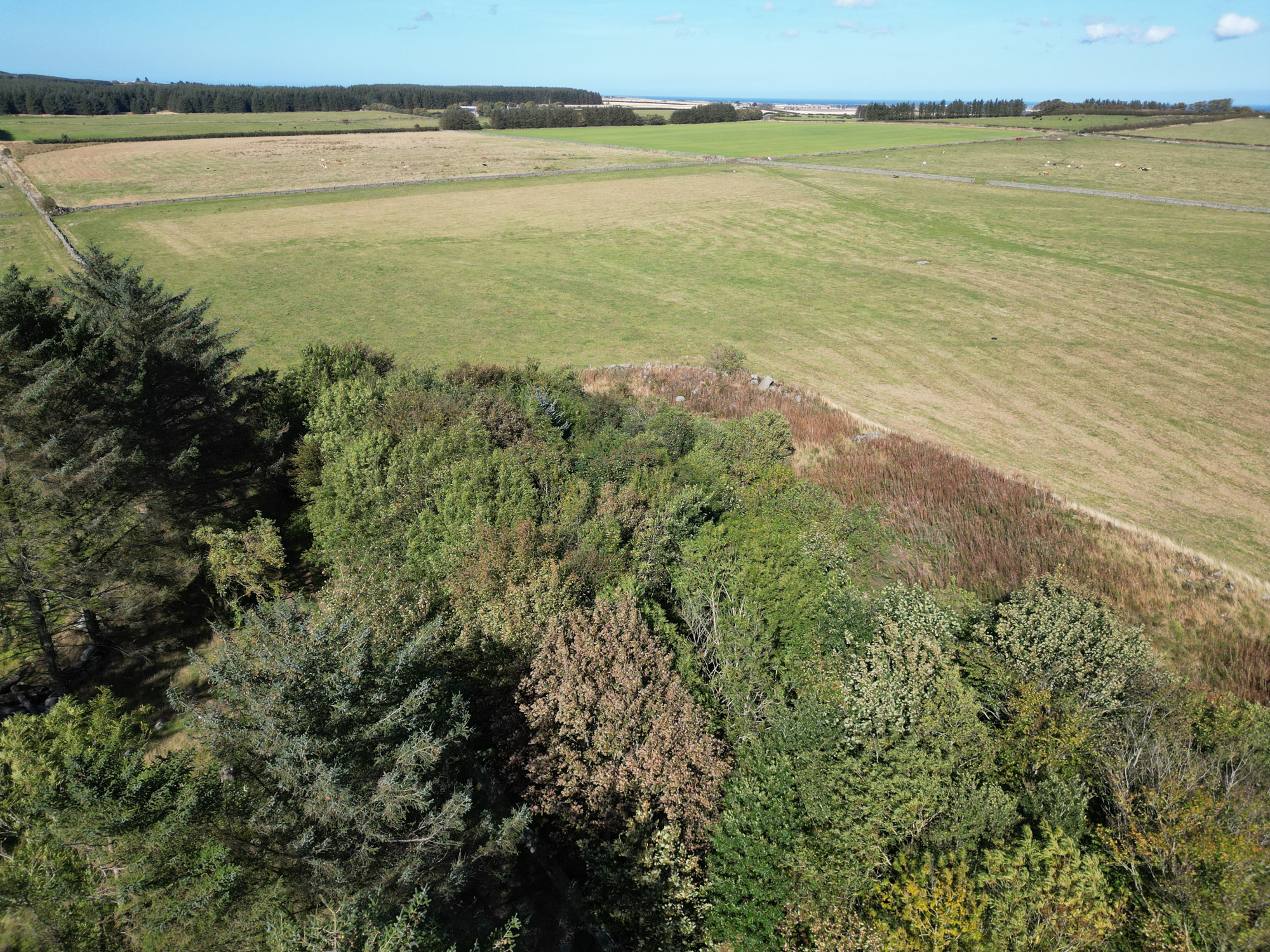Aberdeen & Northern Estates