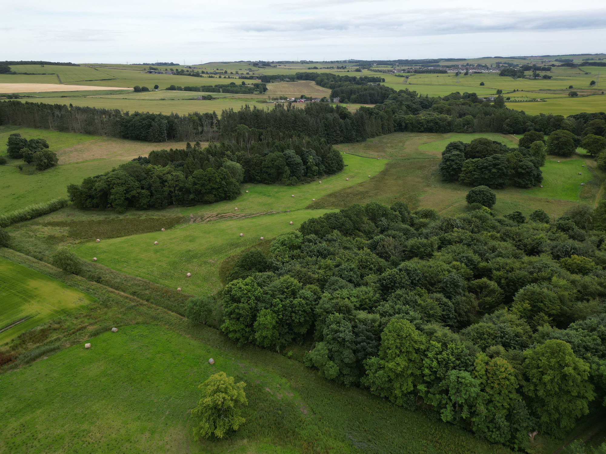 Aberdeen & Northern Estates