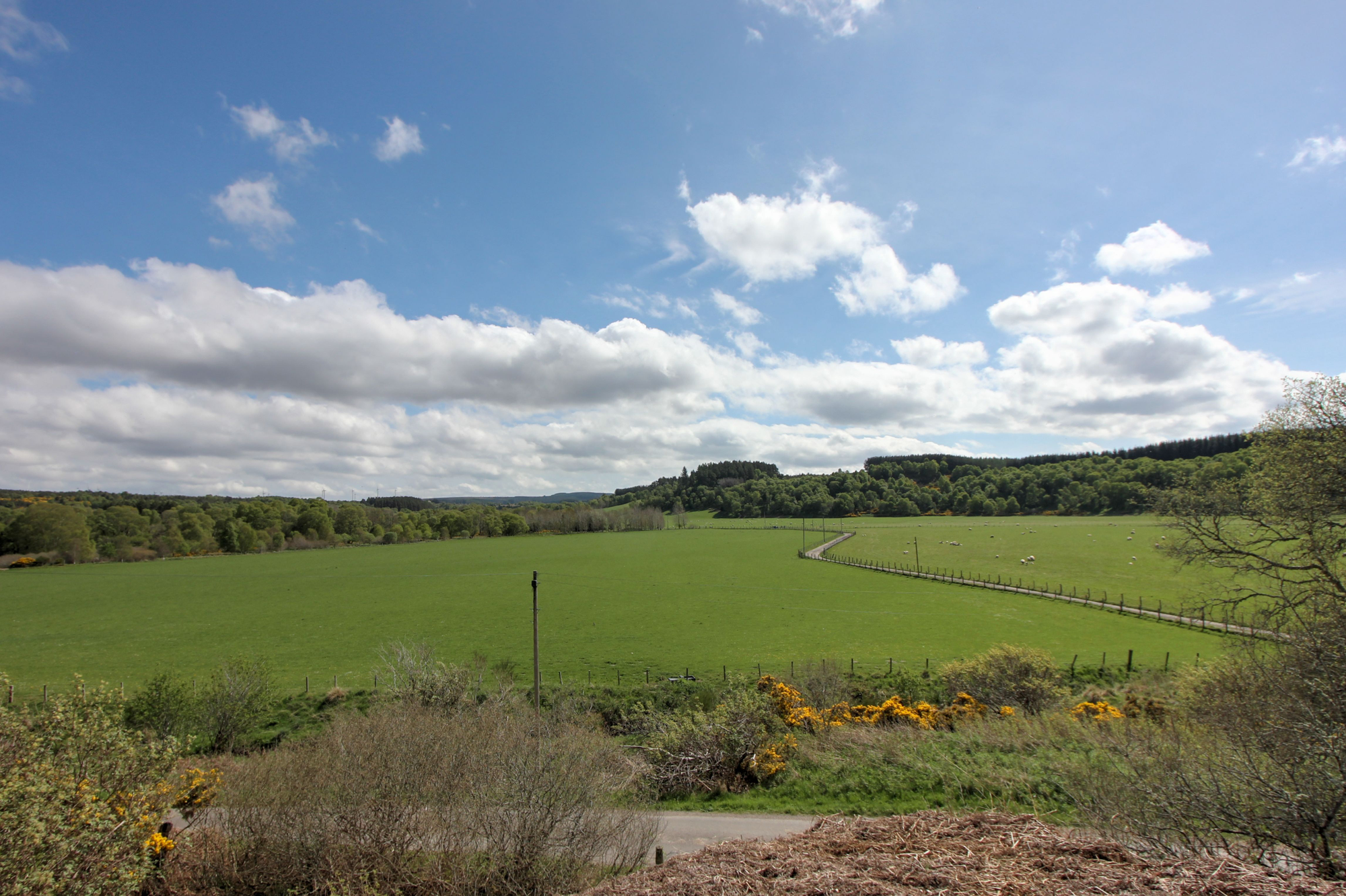 Aberdeen & Northern Estates