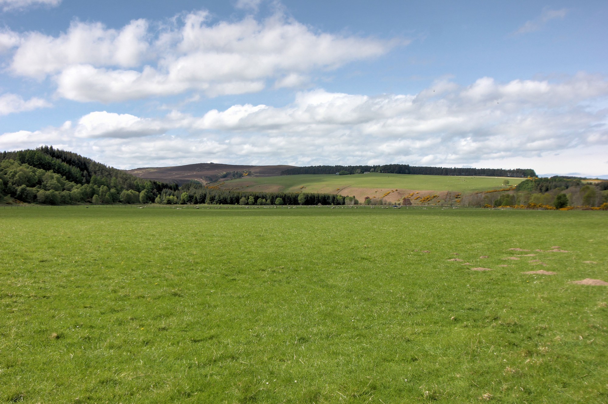 Aberdeen & Northern Estates