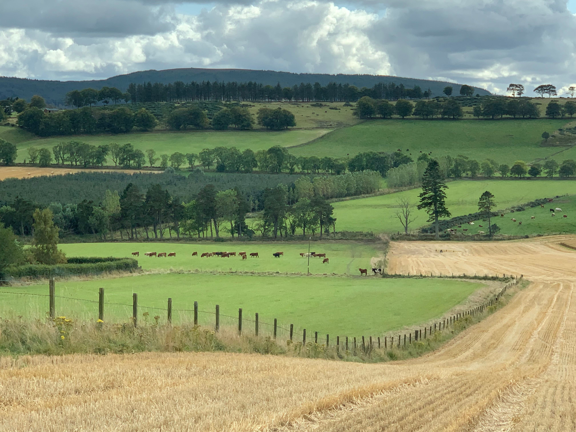 Aberdeen & Northern Estates